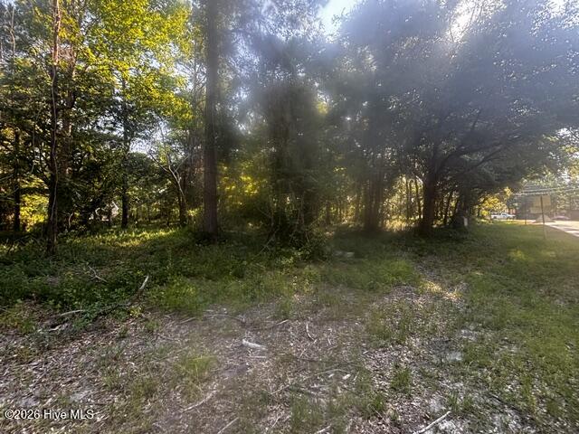 2408 Tract 2 Zion Hill Rd Road Se Property Photo 4