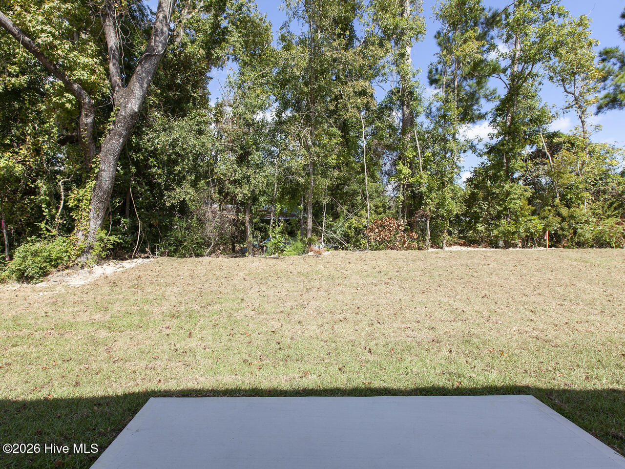 3016 Maravella Court Se Lot 4 Property Photo 23