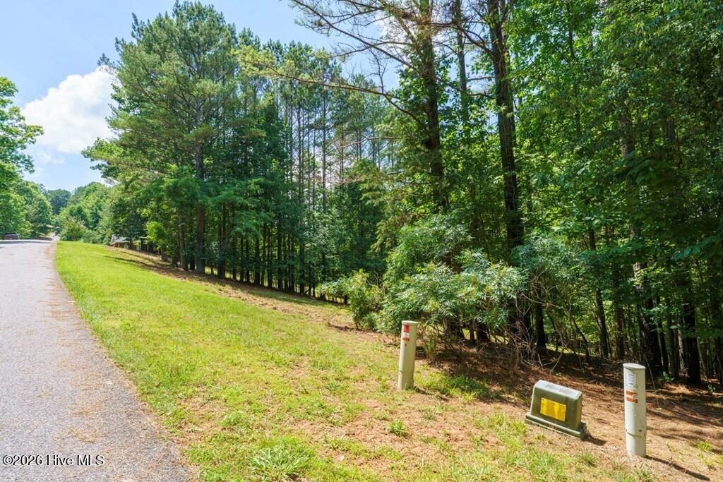 Lot 21 21 Loftis Mountain Property Photo 6