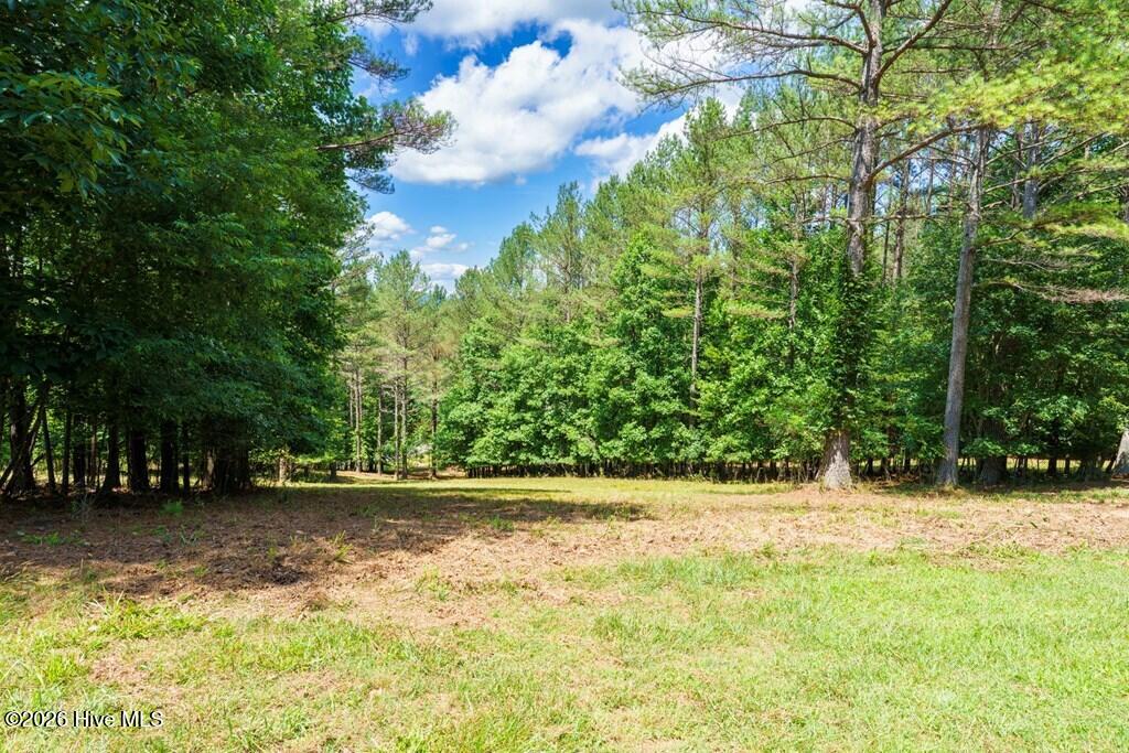 Lot 21 21 Loftis Mountain Property Photo 7