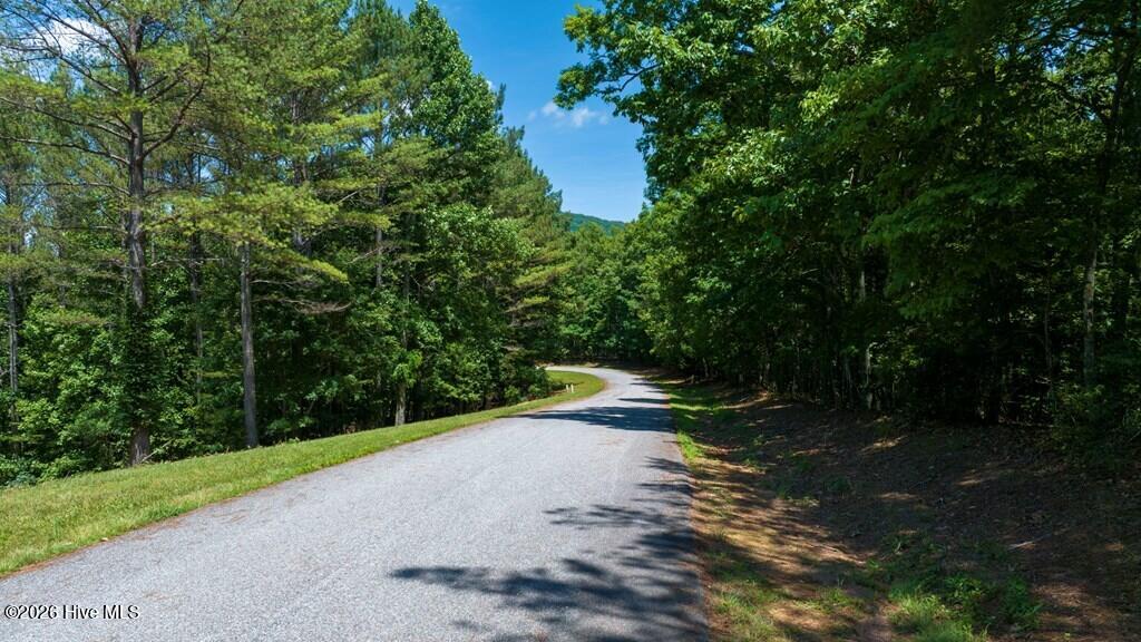 Lot 21 21 Loftis Mountain Property Photo 8
