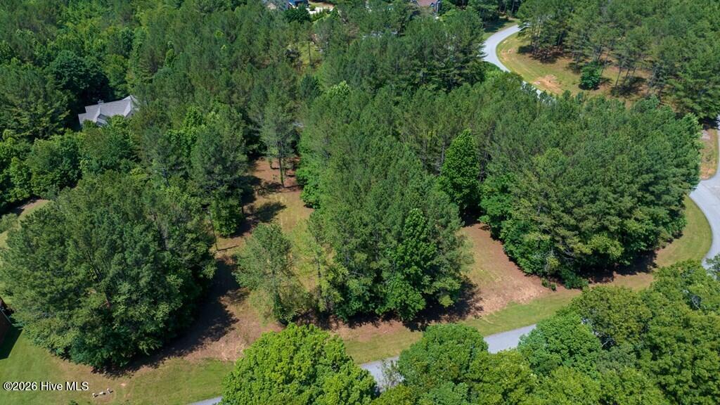 Lot 21 21 Loftis Mountain Property Photo 11