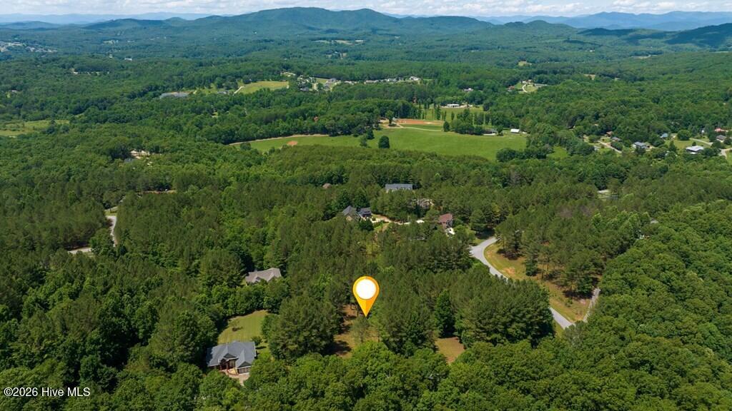 Lot 21 21 Loftis Mountain Property Photo 13
