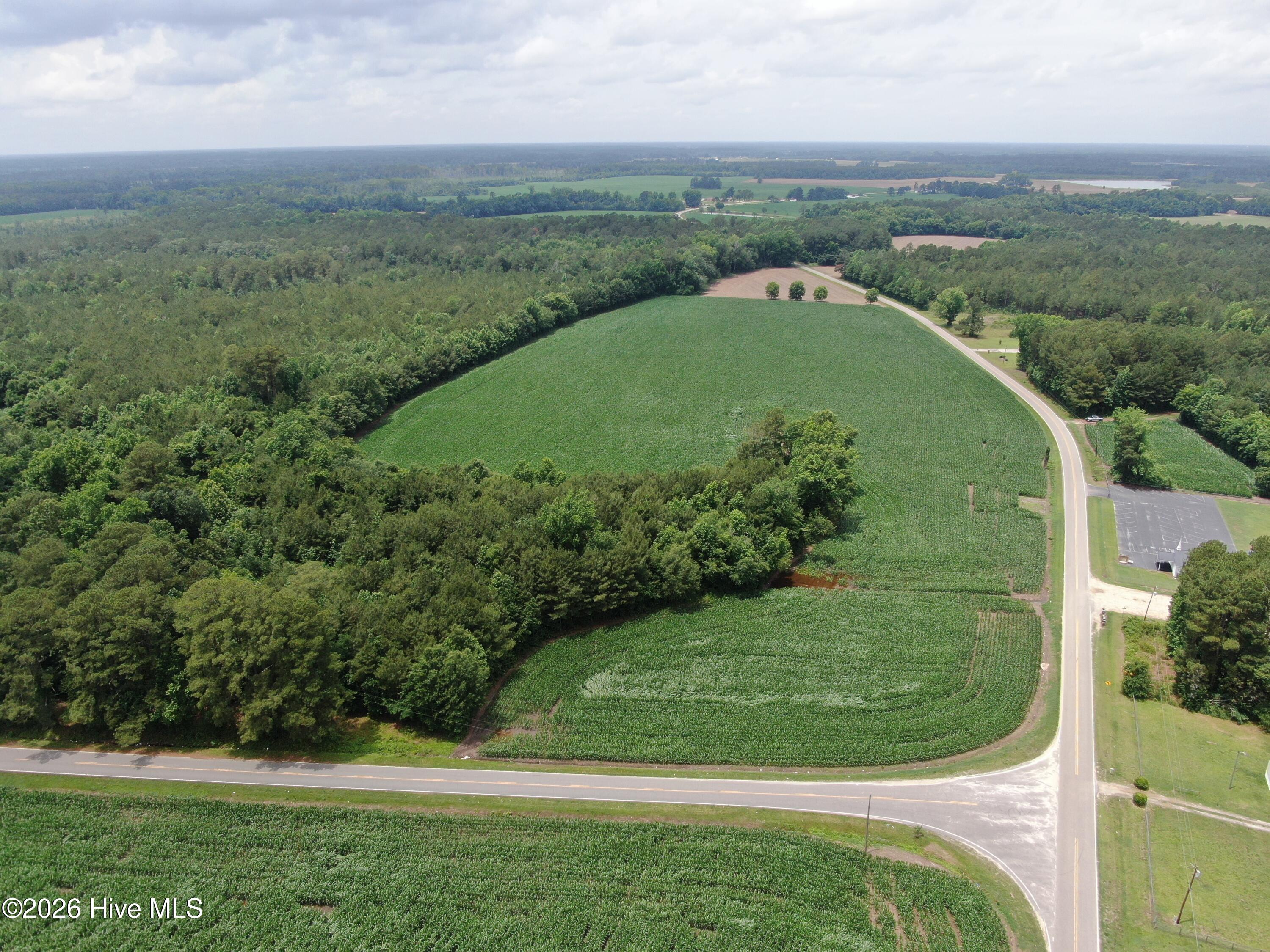 Tbd Pleasant Hope Road Property Photo 1