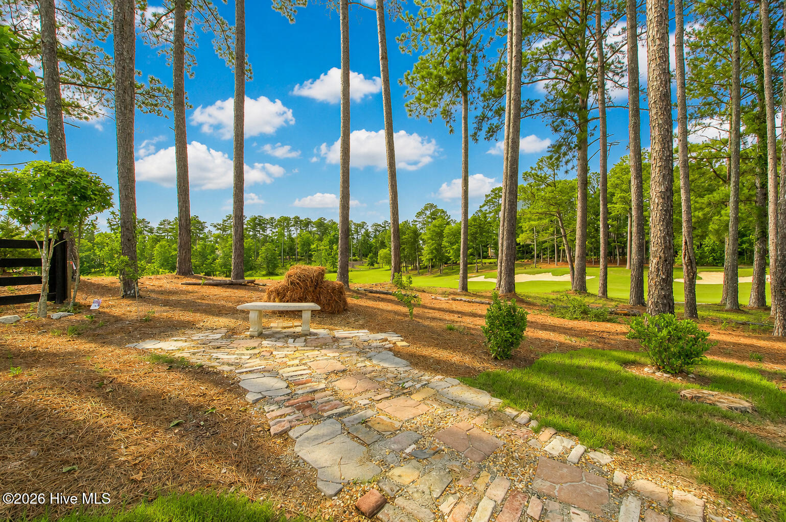 425 Cavalry Run Property Photo 5