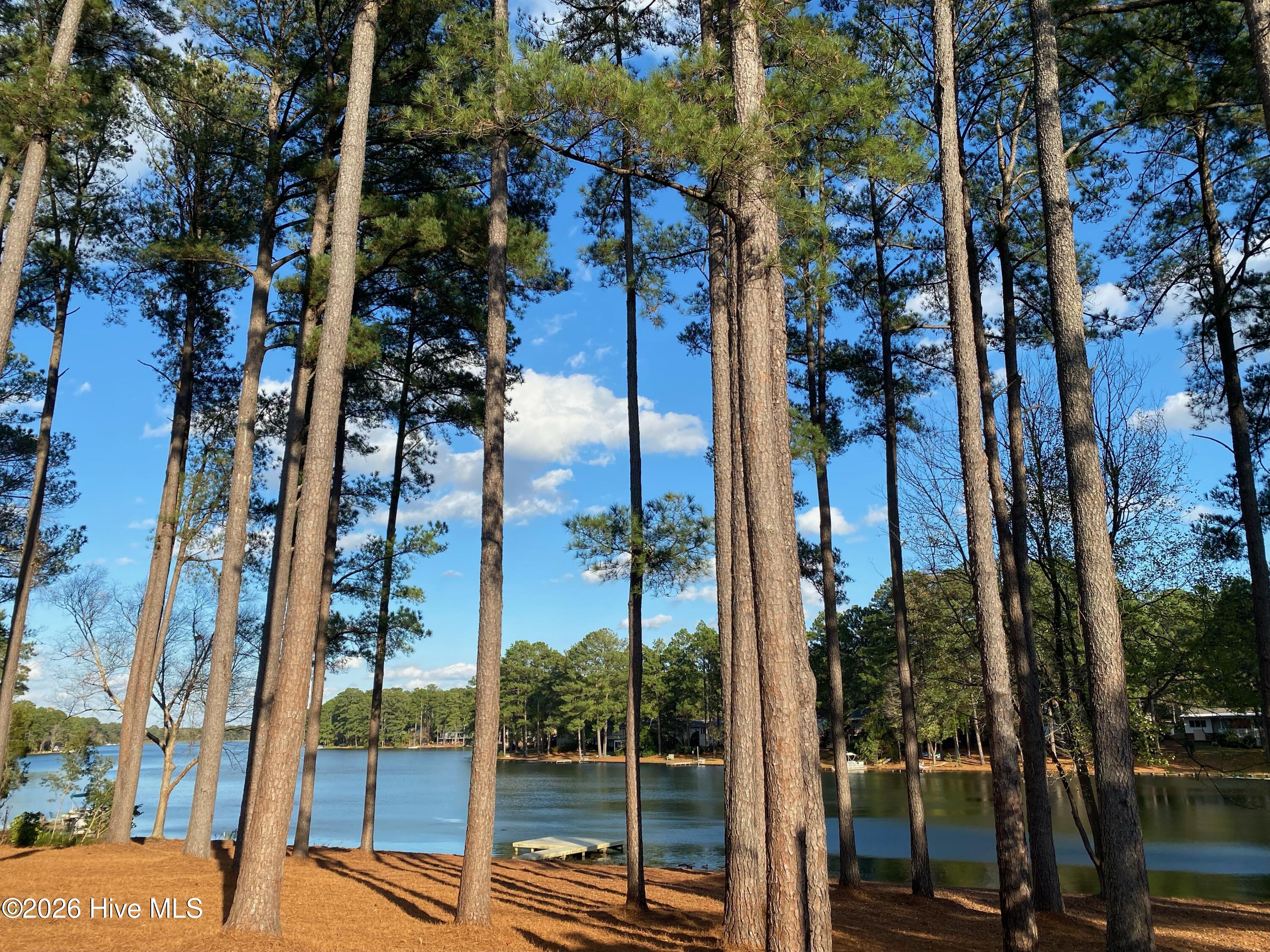 172 Pine Ridge Drive Property Photo 4