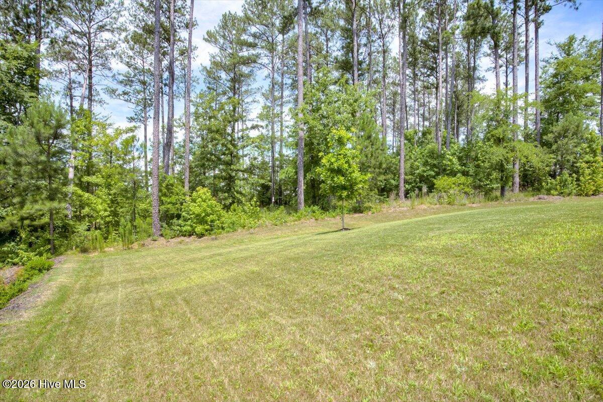 309 Streamsong Road Property Photo 38