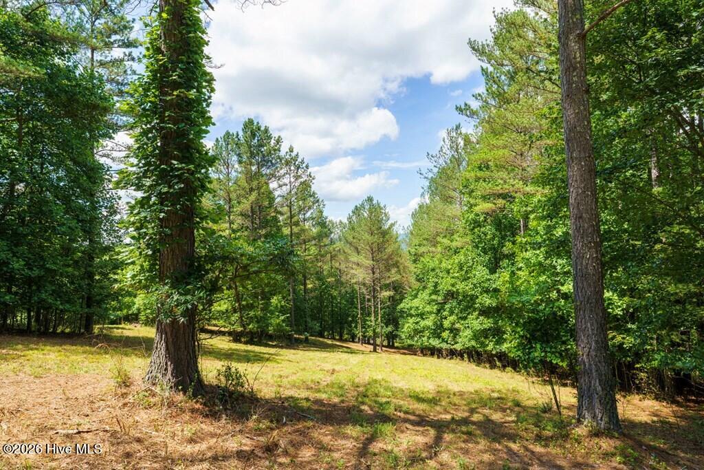 Lot 20 20 Loftis Mountain Way Property Photo 4