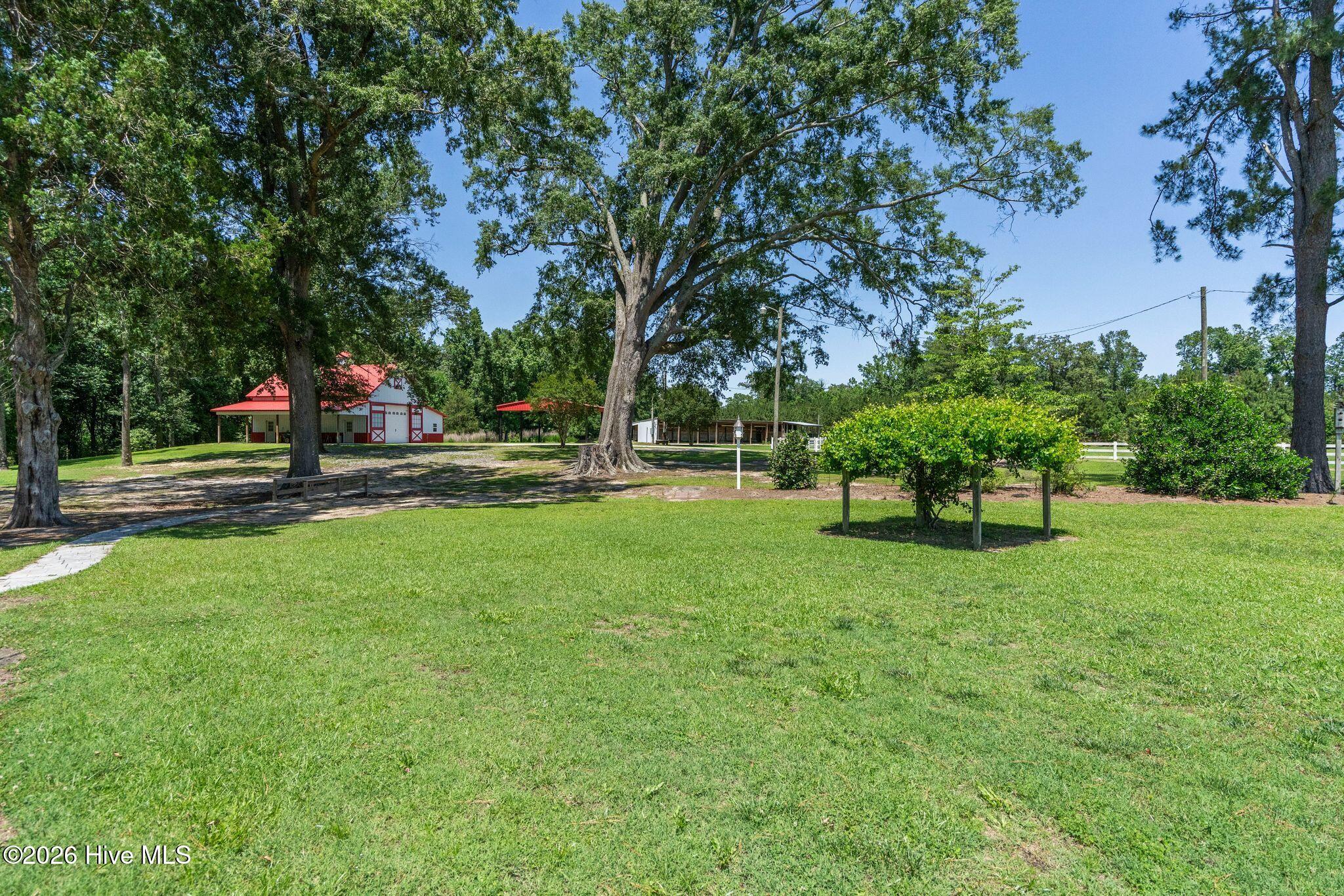 170 William Pearce Road Property Photo 45