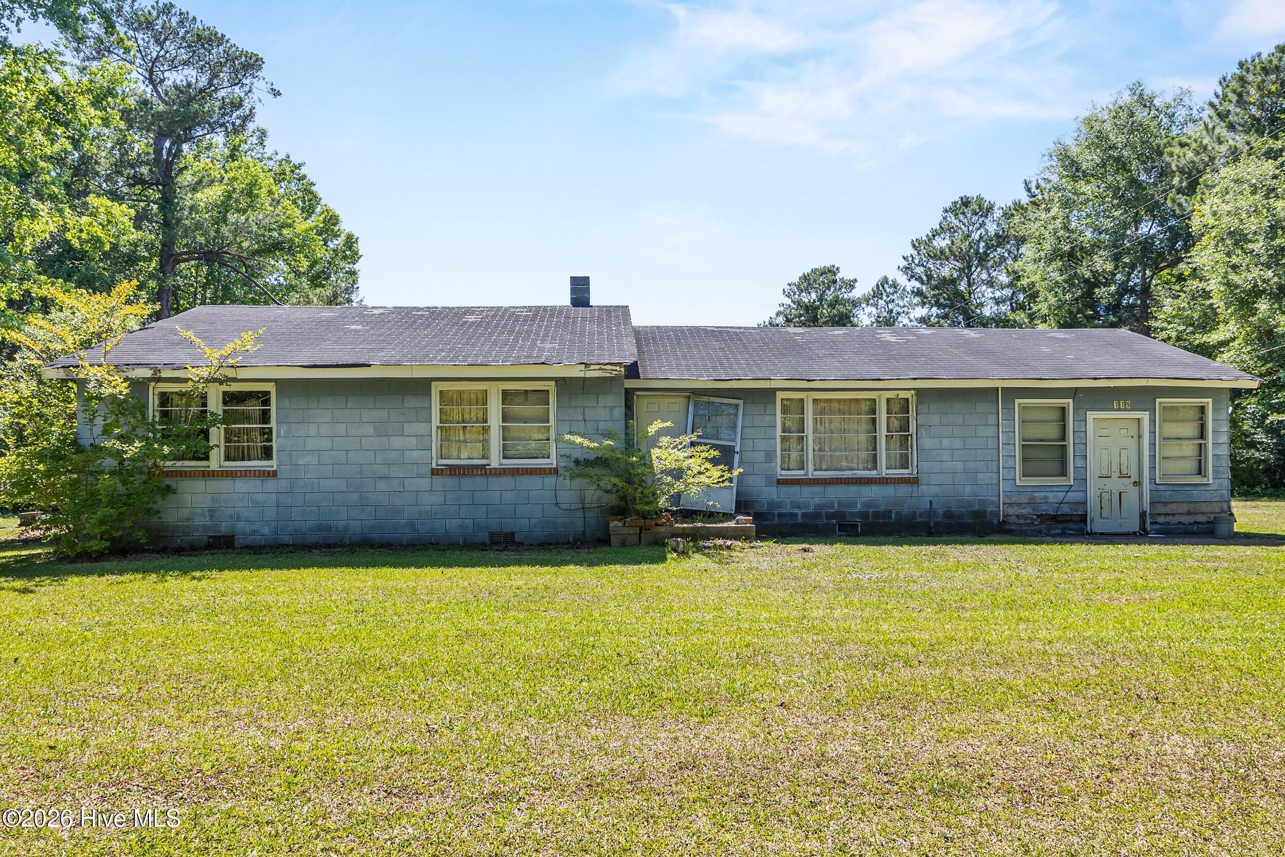 119 Minnie Bell Lane Property Photo 1