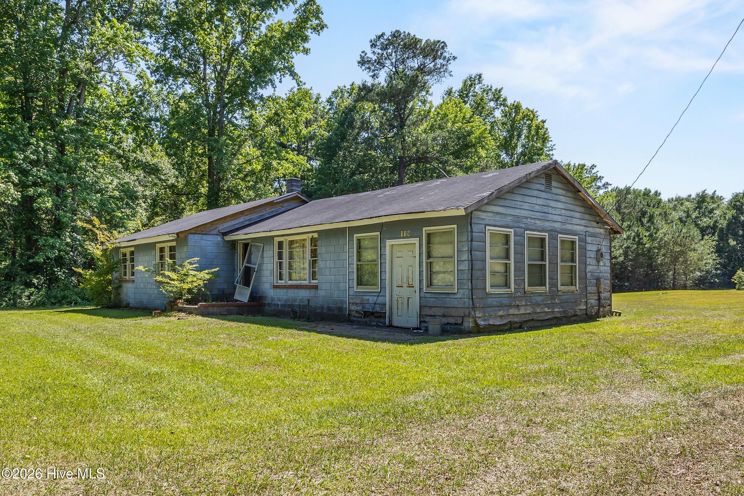 119 Minnie Bell Lane Property Photo 2
