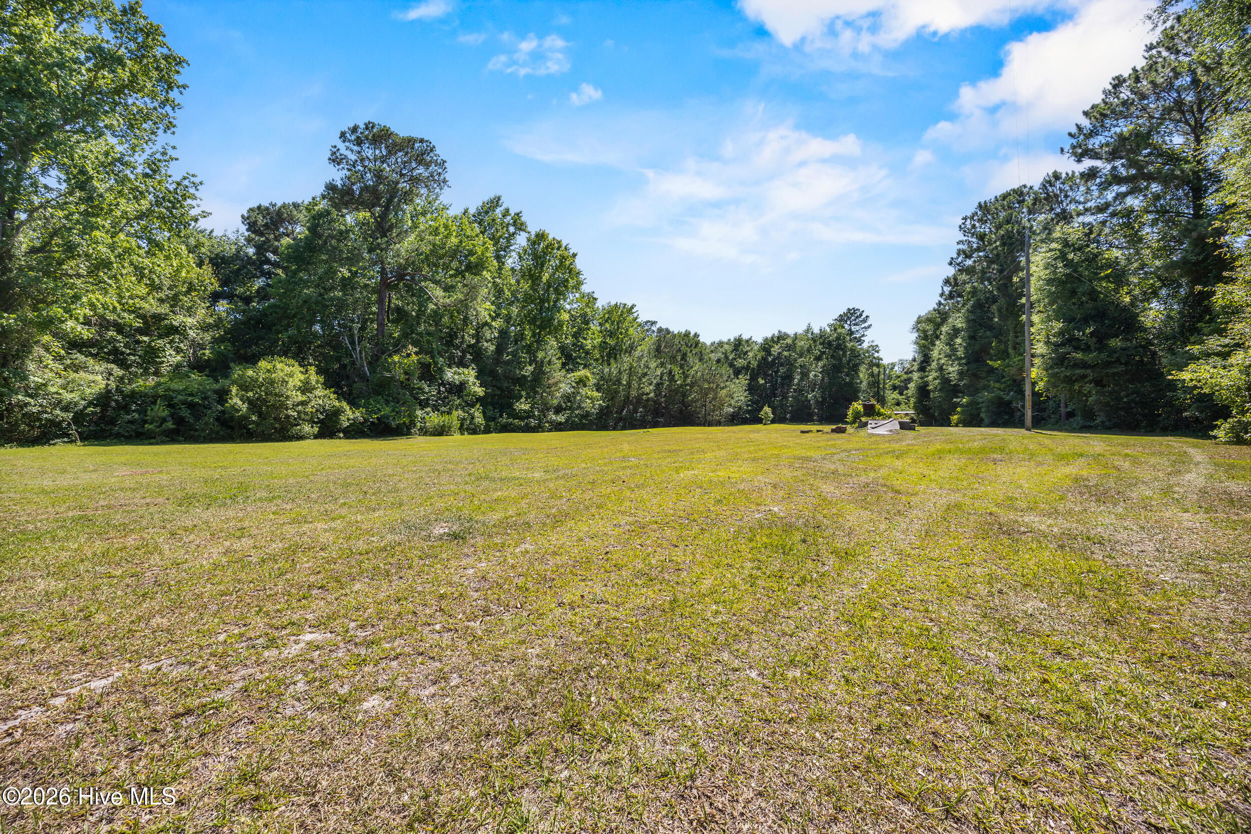 119 Minnie Bell Lane Property Photo 6