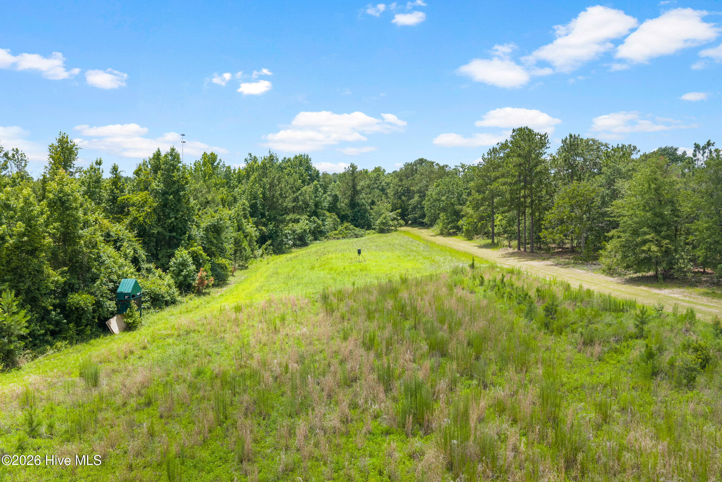854 Bell Road Property Photo 22