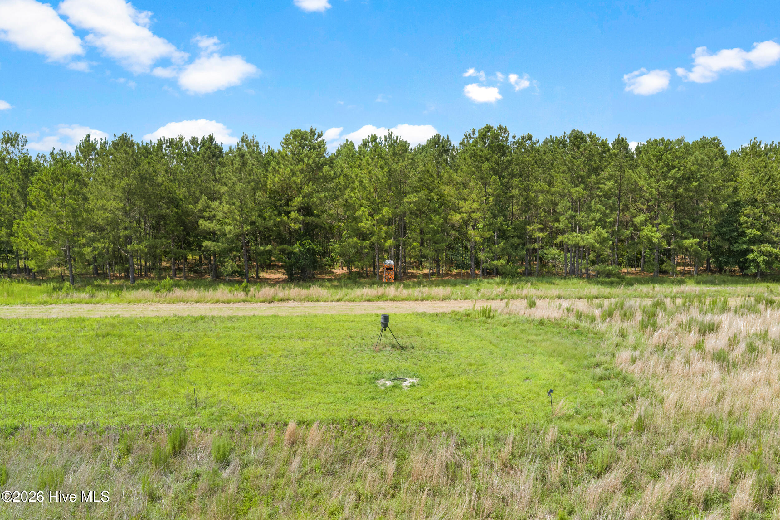 854 Bell Road Property Photo 45