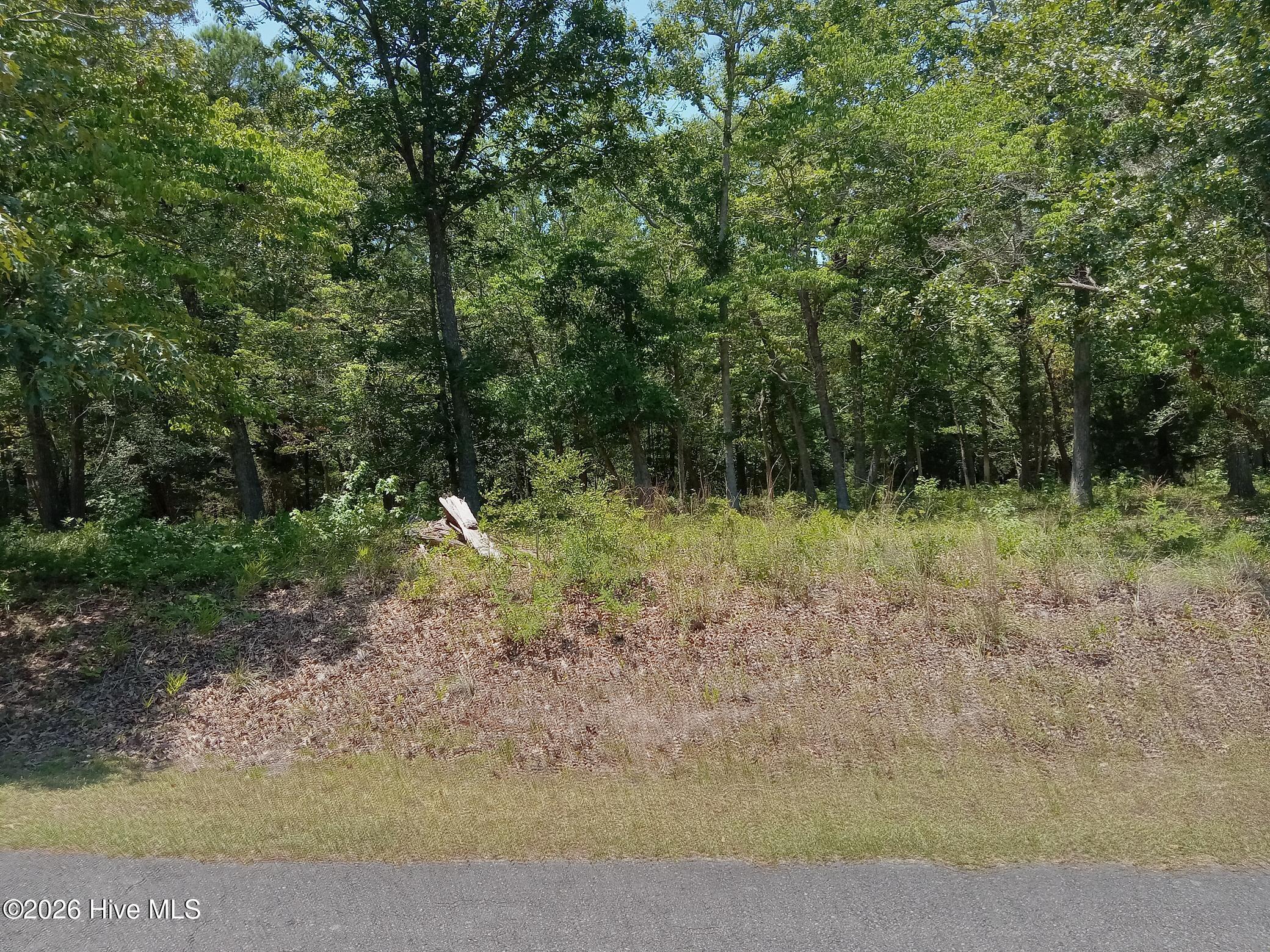 539 9 River Heights Trace Property Photo 3