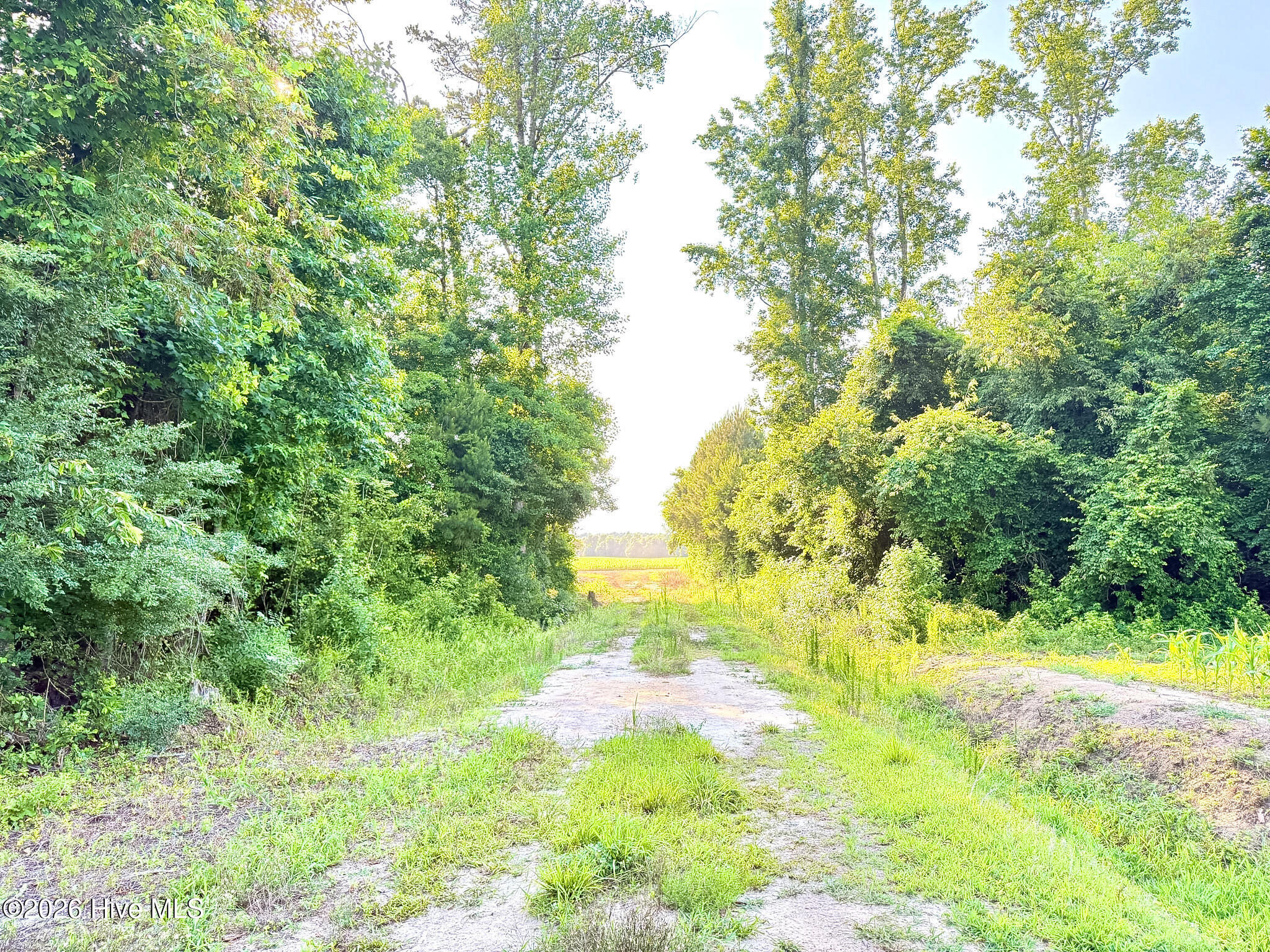 Off Swamp Fox Hwy Highway E Property Photo 6