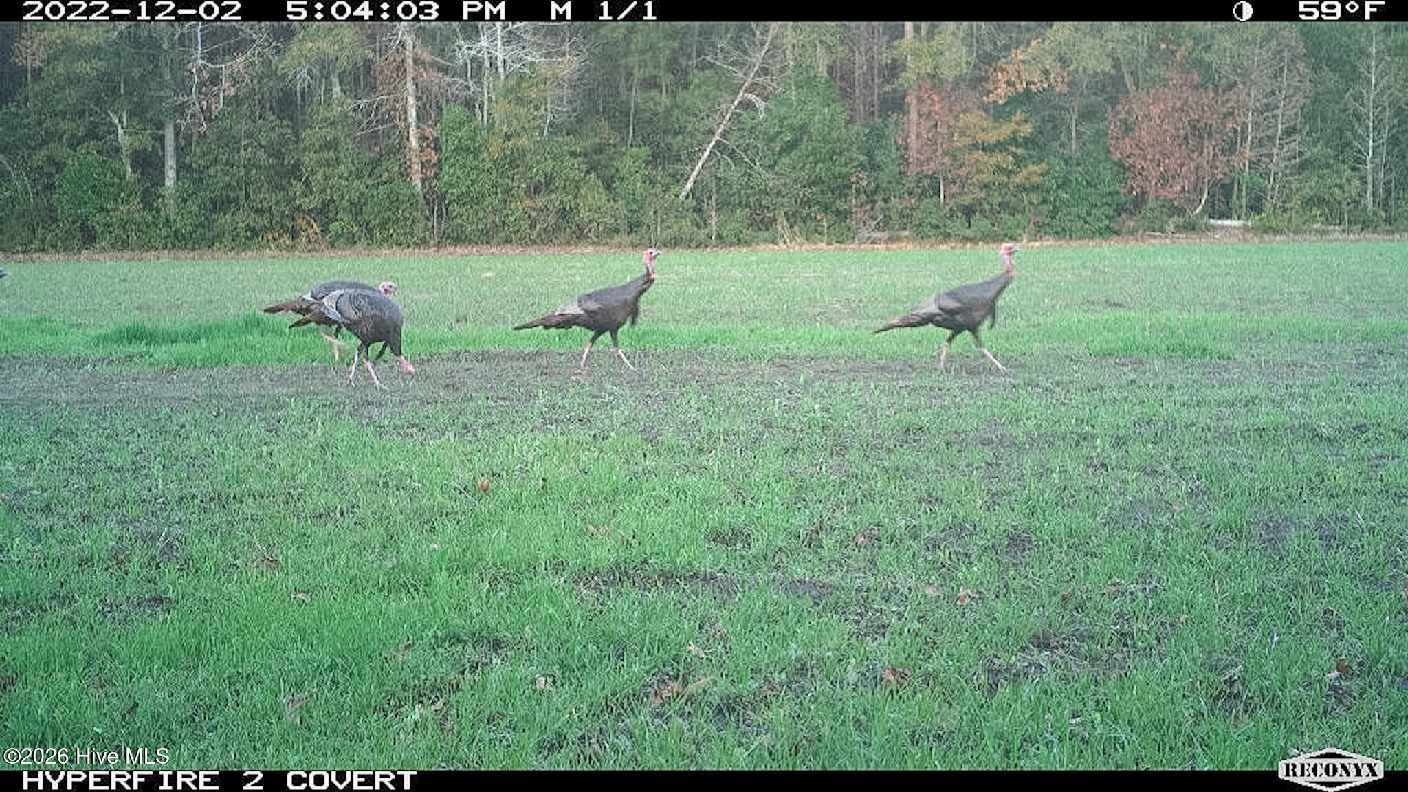 Off Swamp Fox Hwy Highway E Property Photo 10