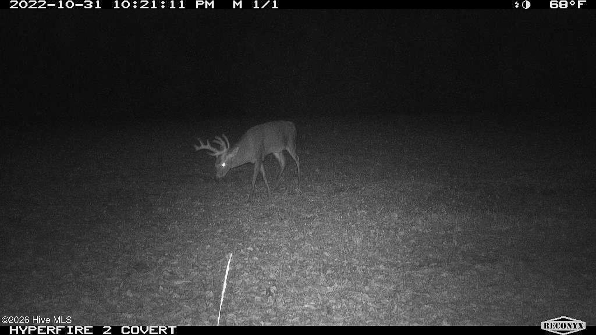 Off Swamp Fox Hwy Highway E Property Photo 11