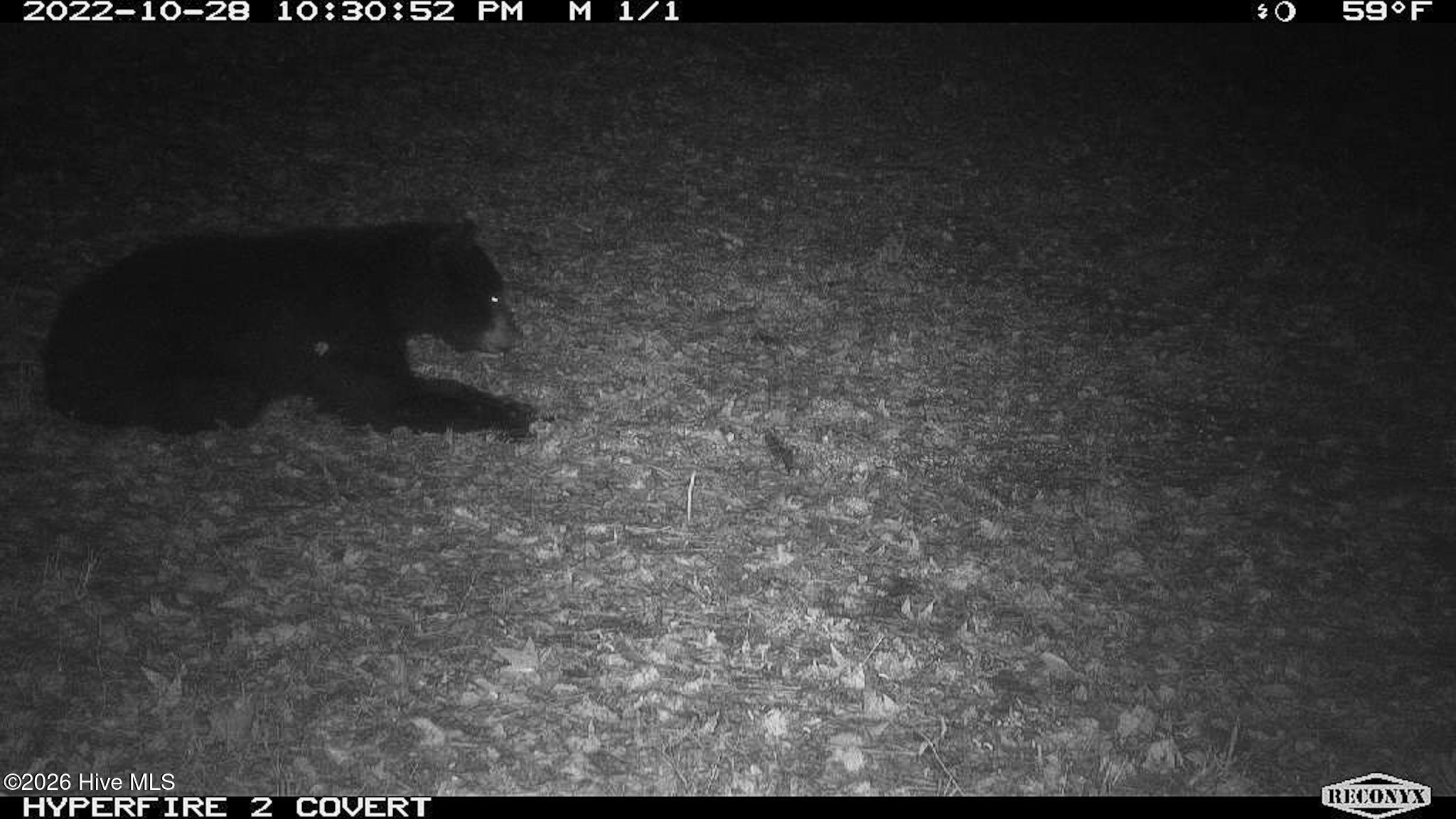 Off Swamp Fox Hwy Highway E Property Photo 14