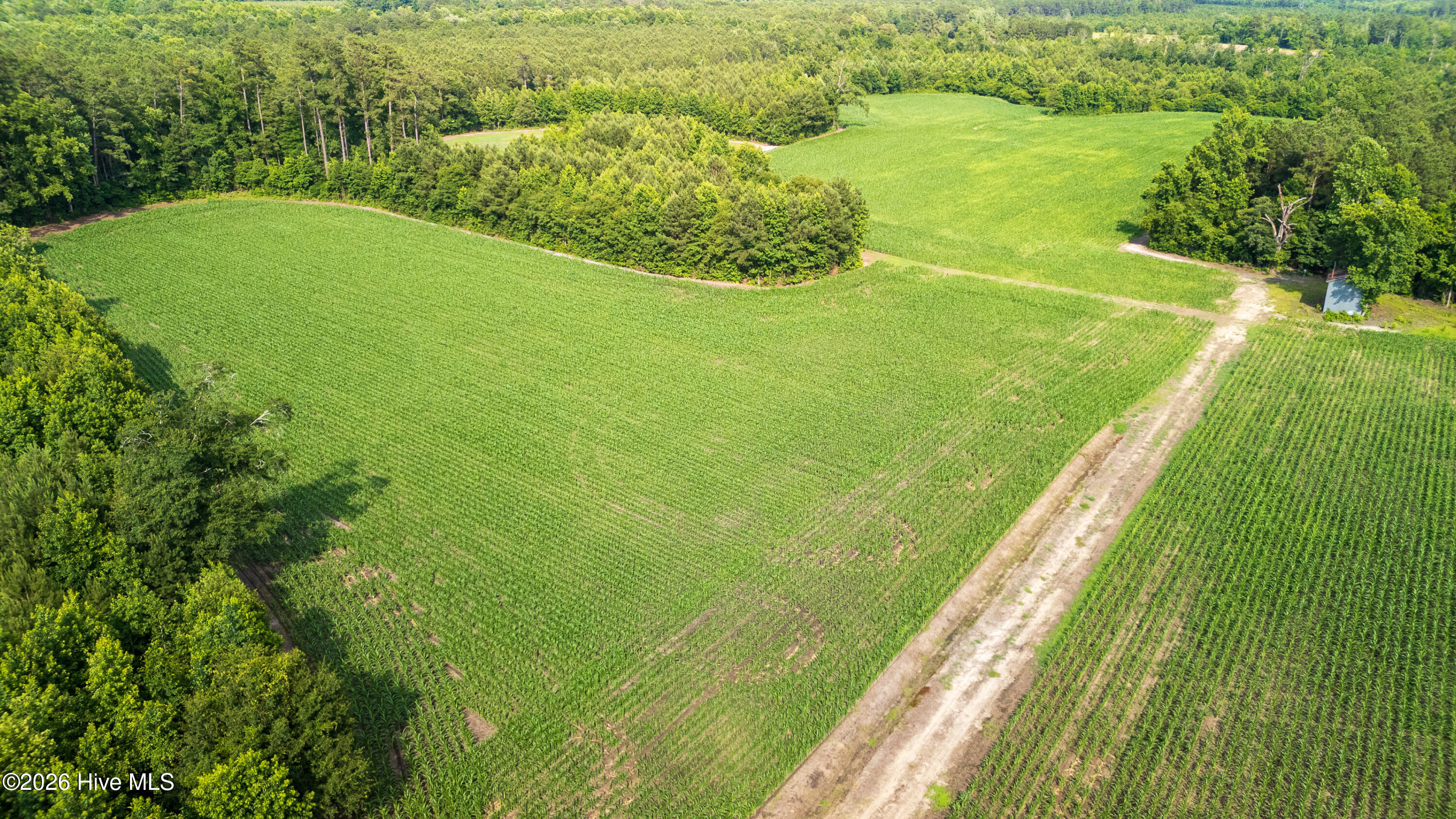 Off Swamp Fox Hwy Highway E Property Photo 17