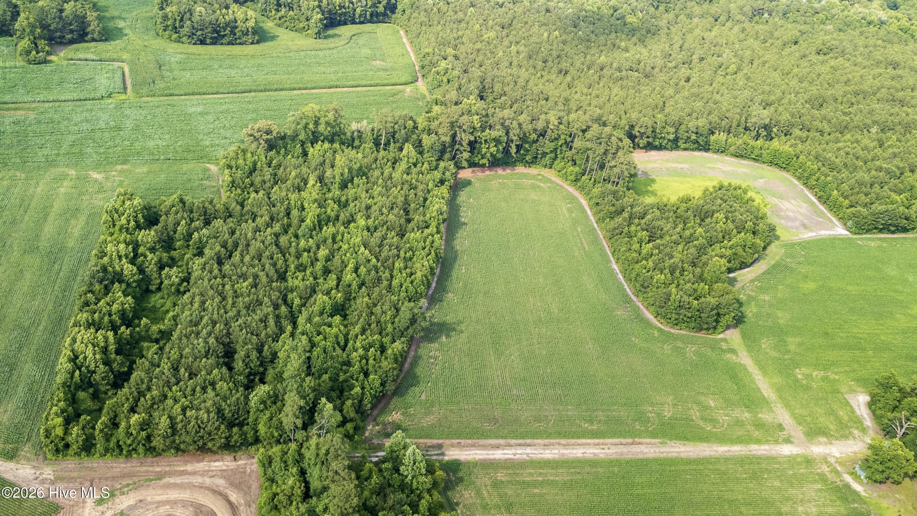 Off Swamp Fox Hwy Highway E Property Photo 18