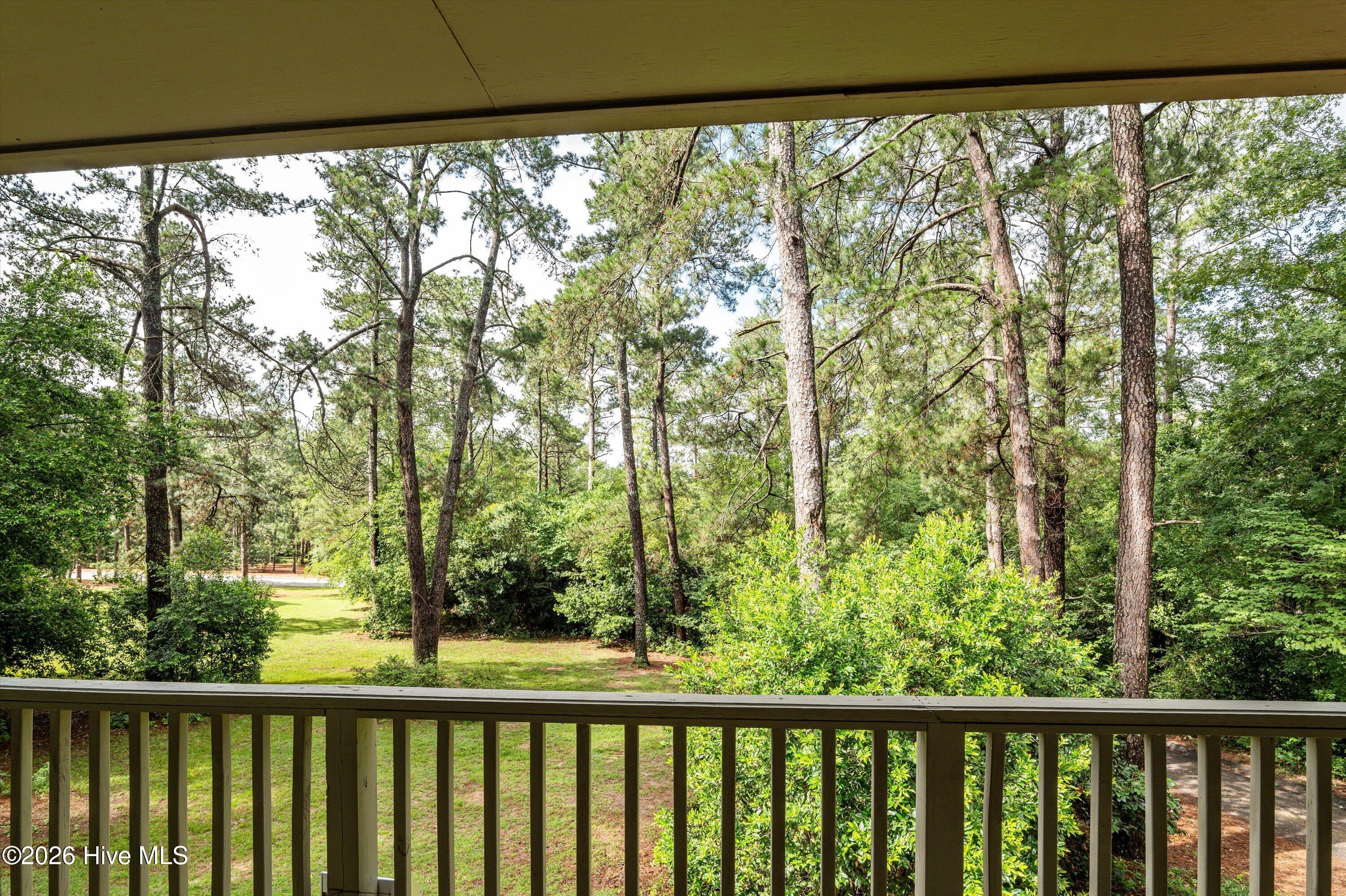 1007 Tamarack Drive Property Photo 60