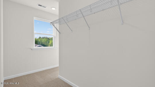 290 Palm Drive Property Photo 28