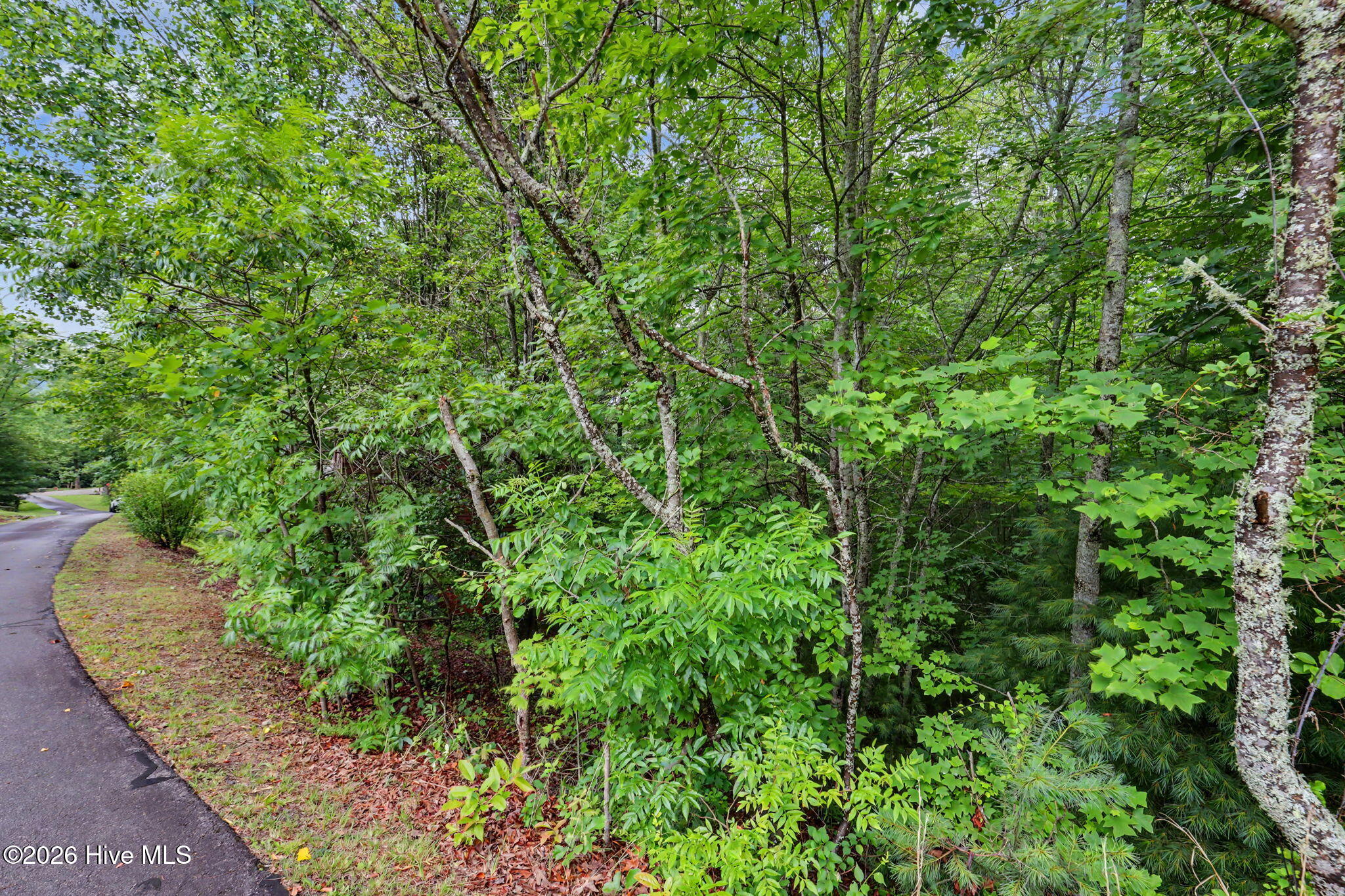 71 Lawrence Drive Property Photo 9