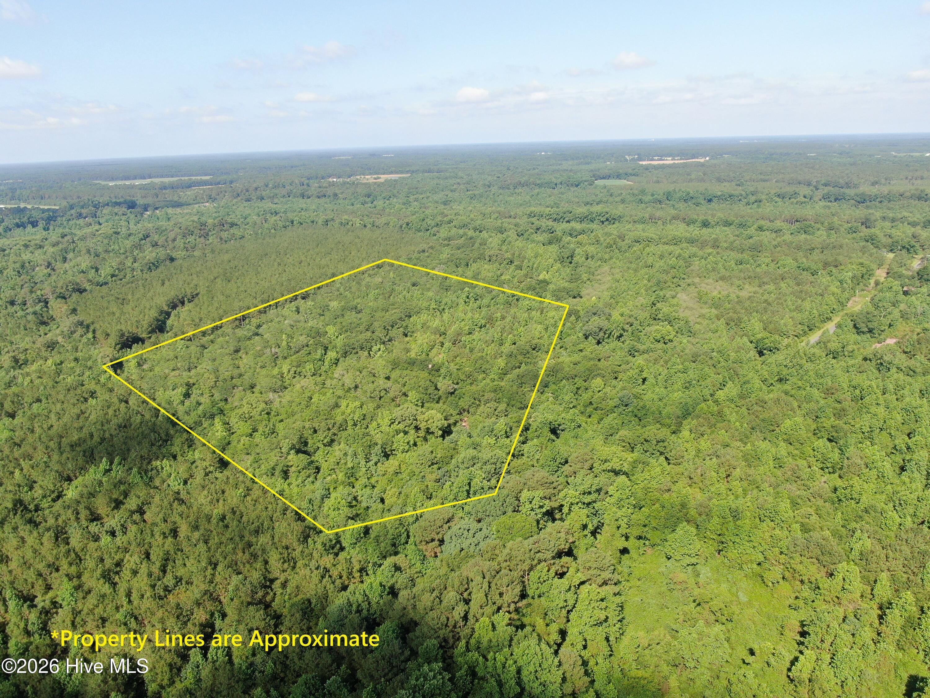 Tbd Oliver Carlton Road Property Photo 1