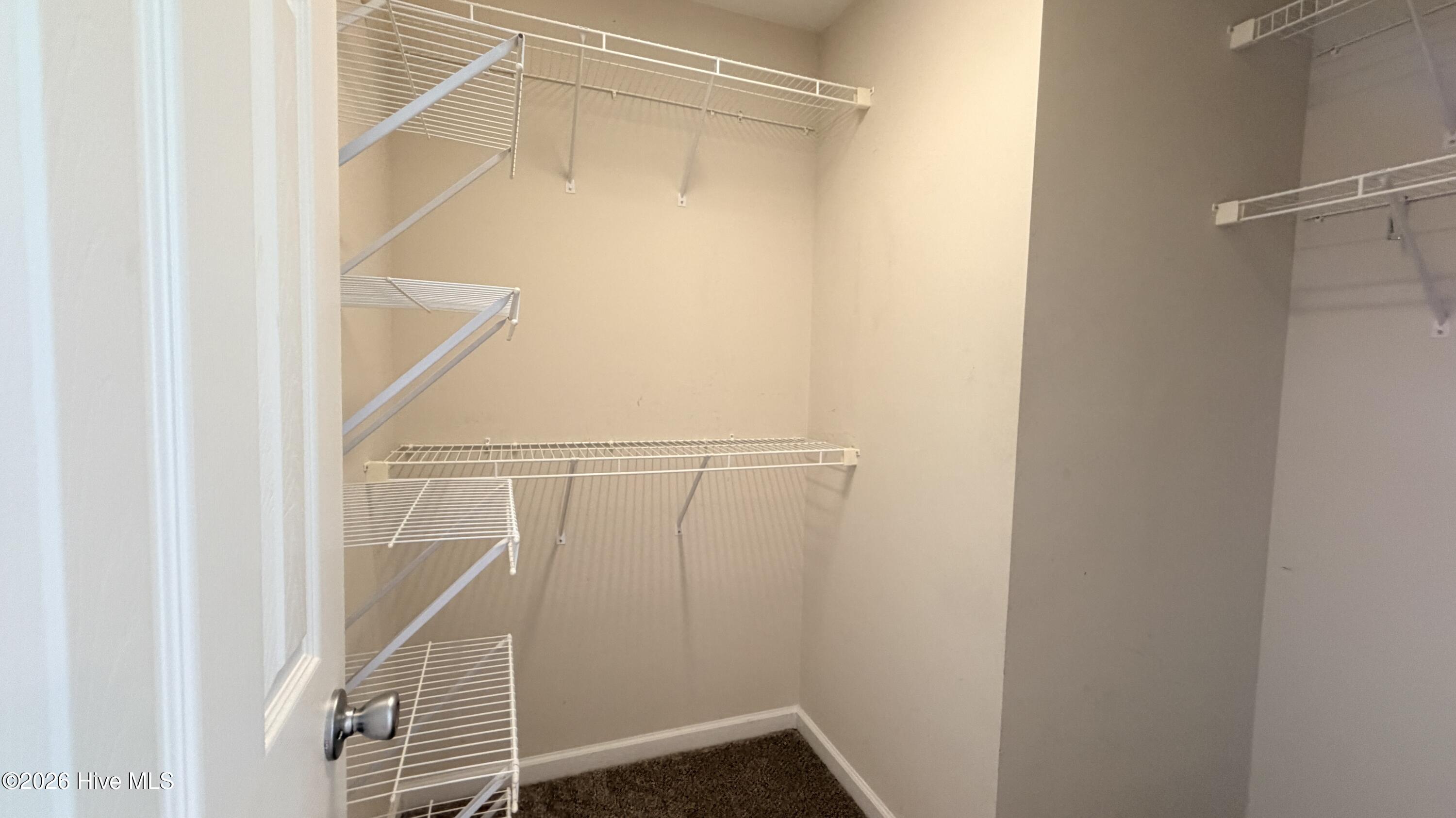 218 Long Neck Drive Property Photo 19