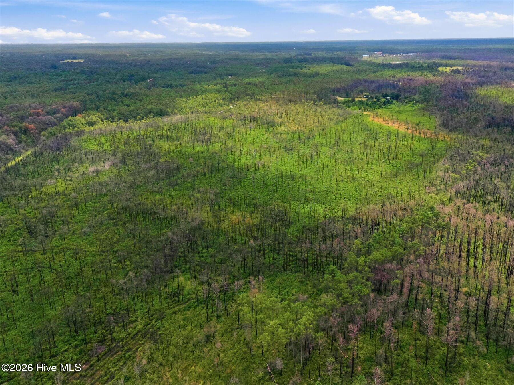 10 Acres Address Tbd Property Photo 6