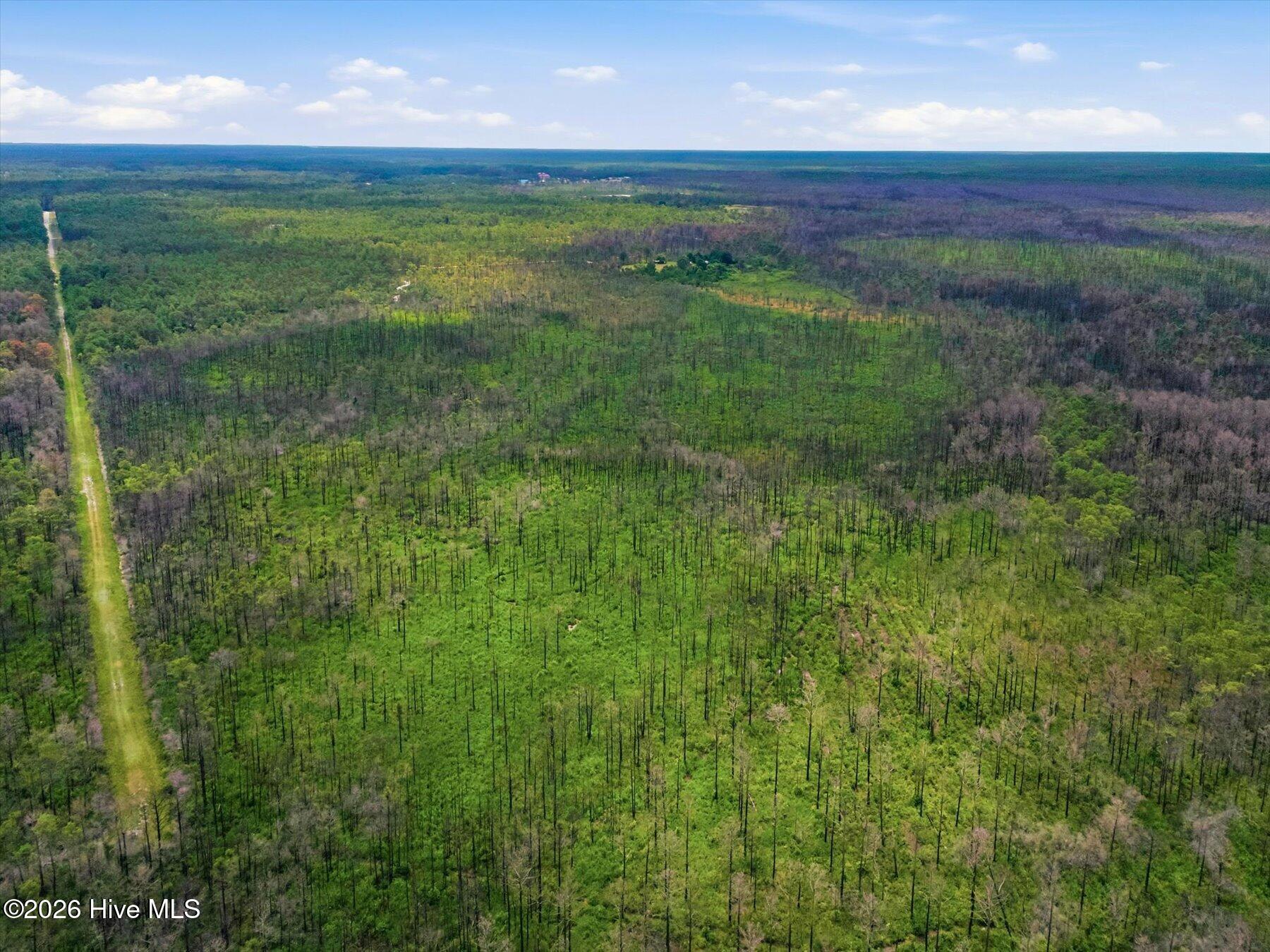 10 Acres Address Tbd Property Photo 7