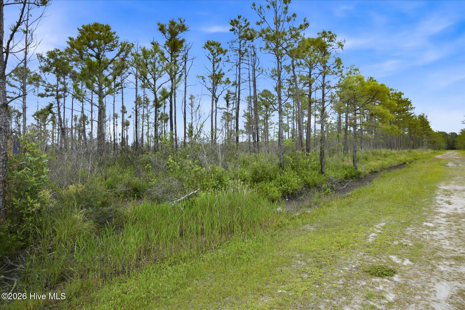 10 Acres Address Tbd Property Photo 14