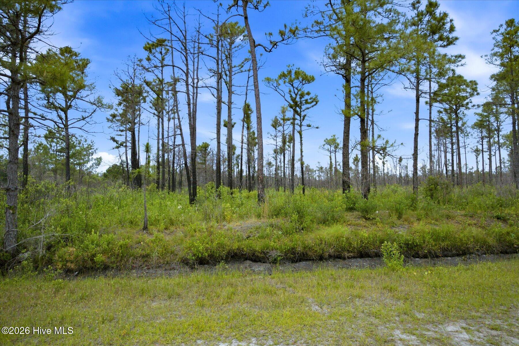 10 Acres Address Tbd Property Photo 15