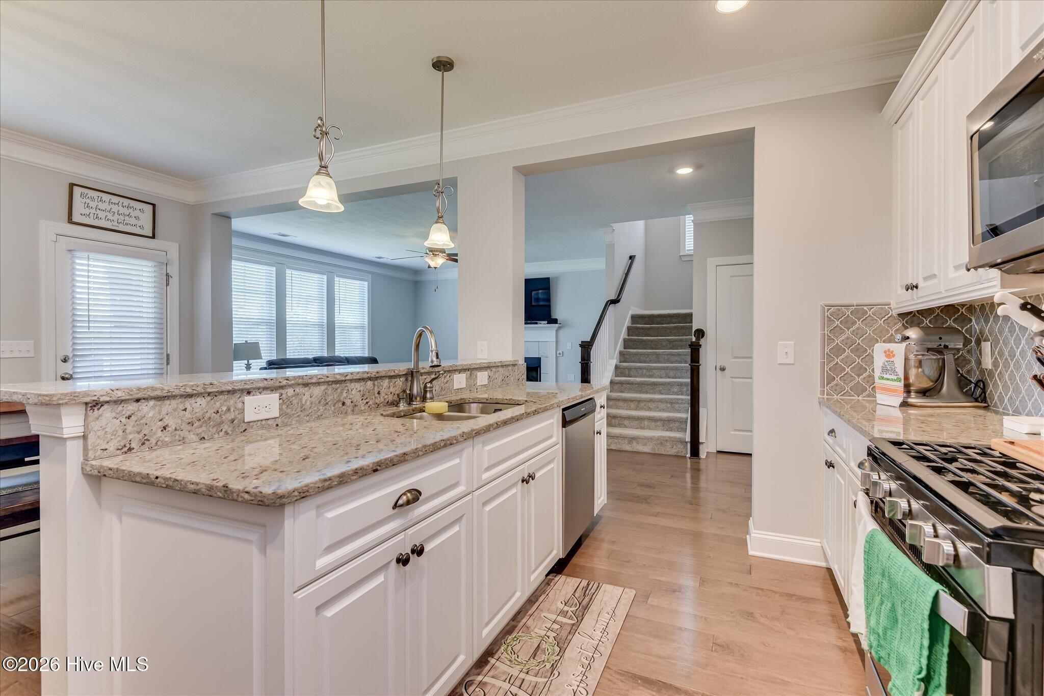 581 Bunchgrass Street Property Photo 17