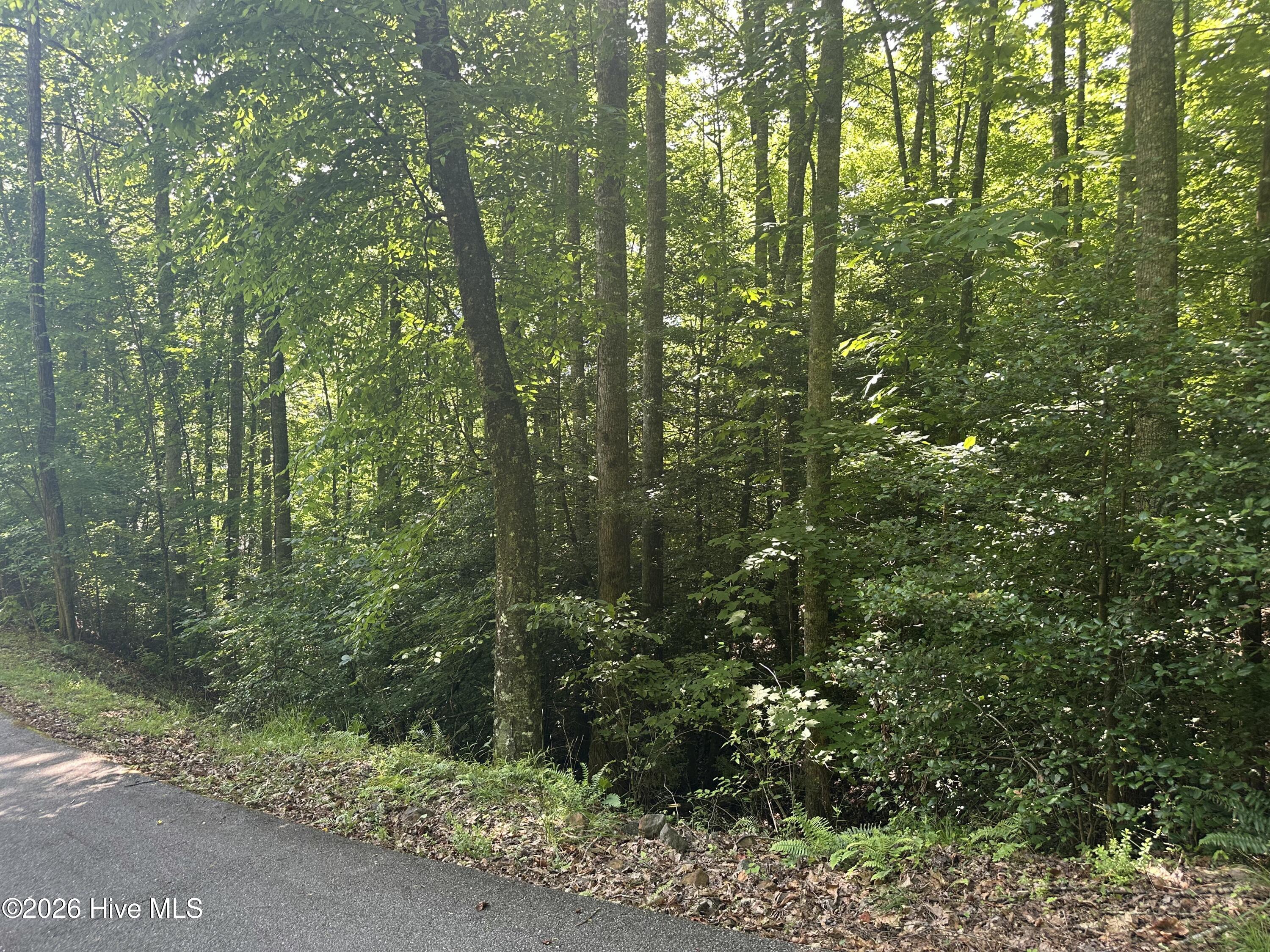 6 Bartram Trail Road Property Photo 2