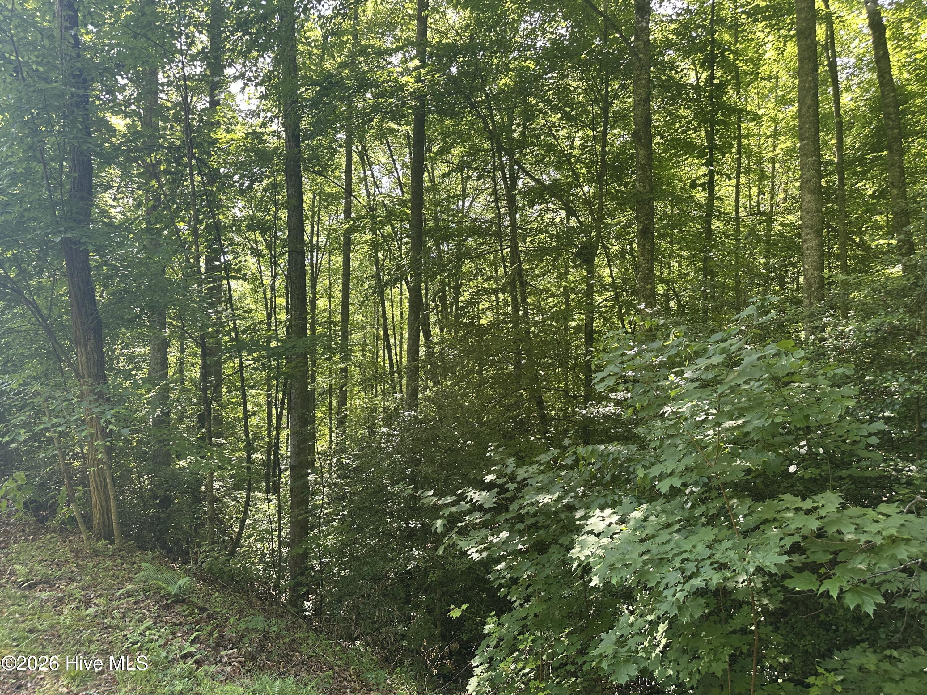 6 Bartram Trail Road Property Photo 3