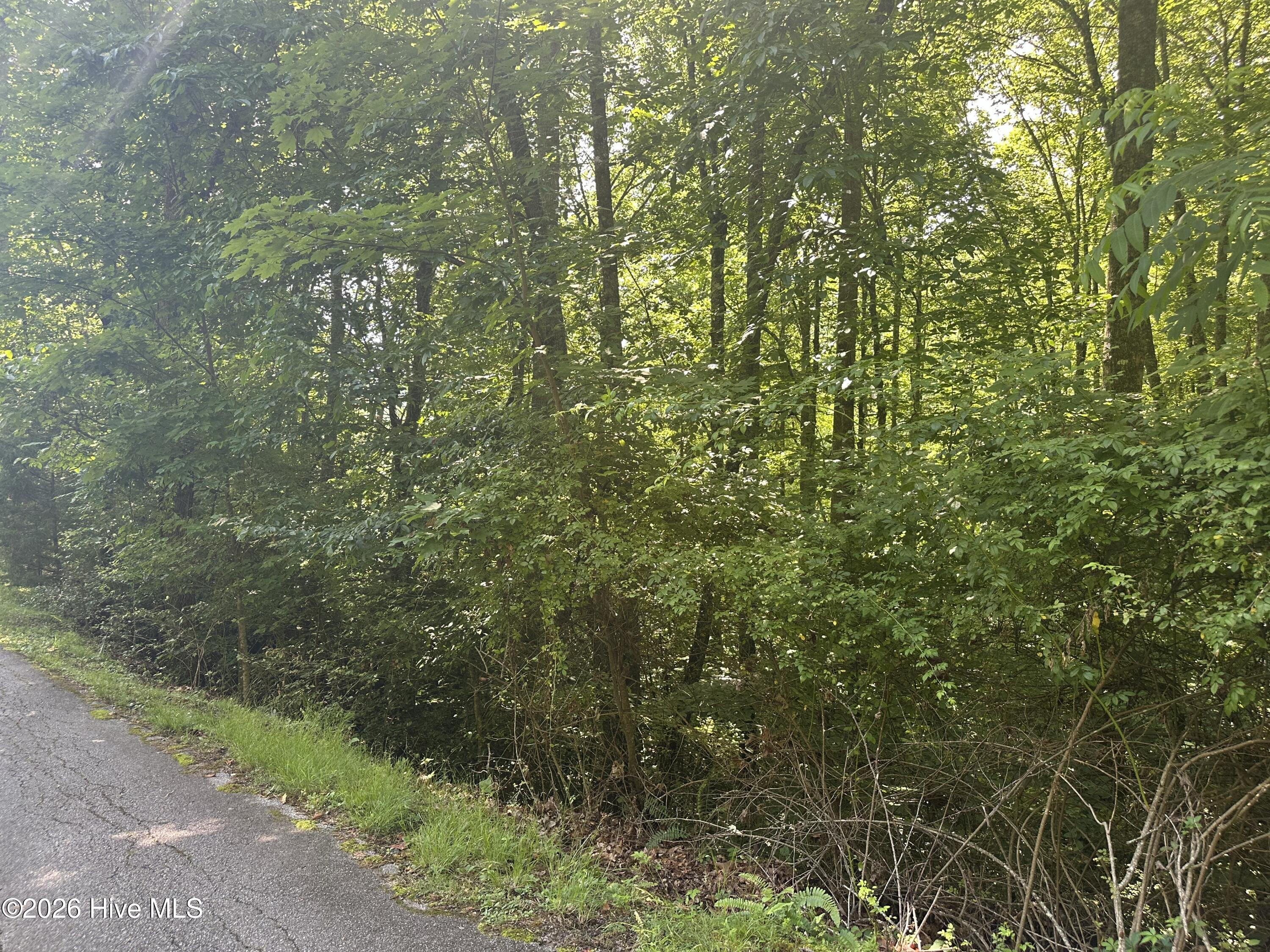 6 Bartram Trail Road Property Photo 4