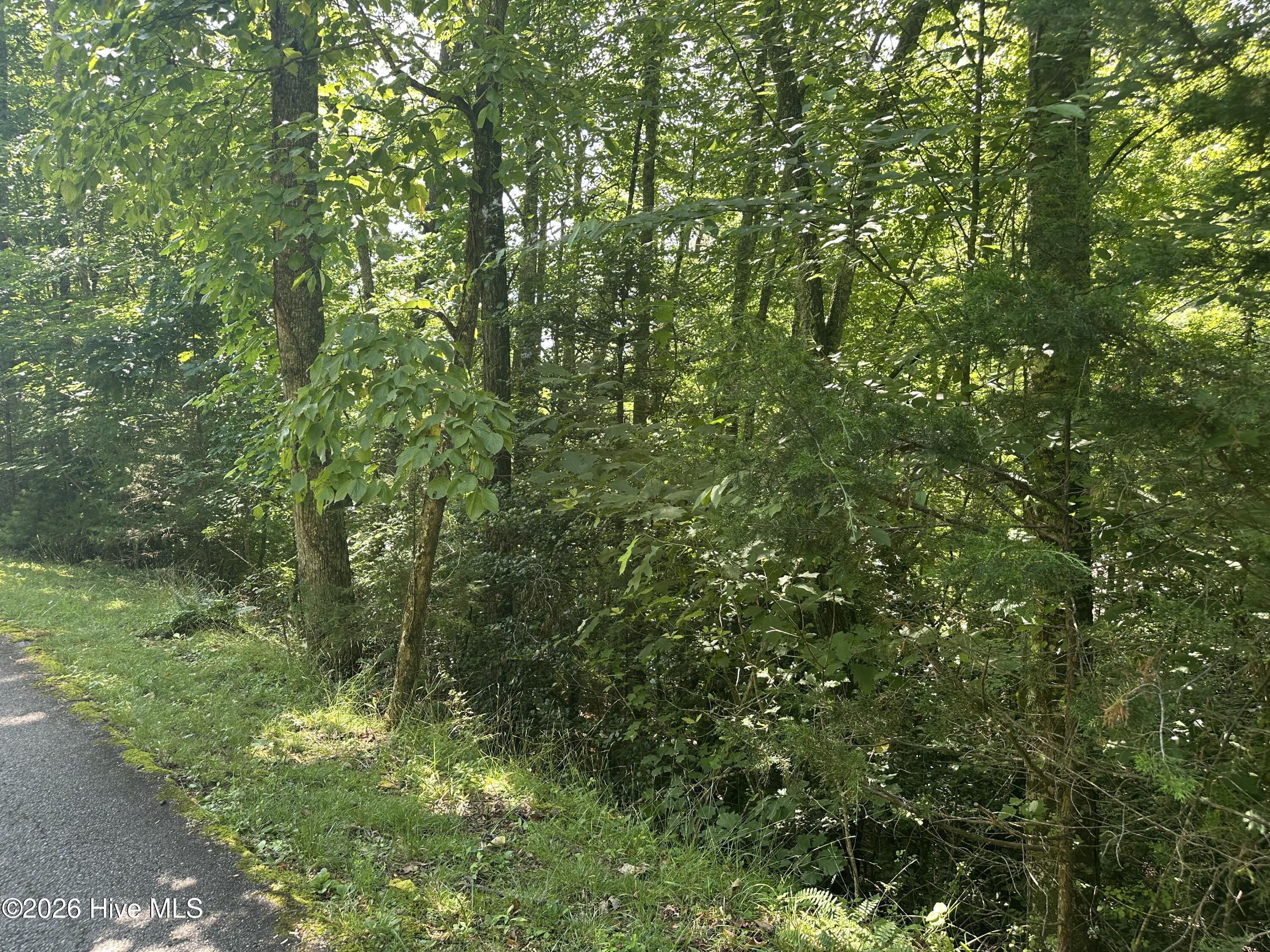 6 Bartram Trail Road Property Photo 5