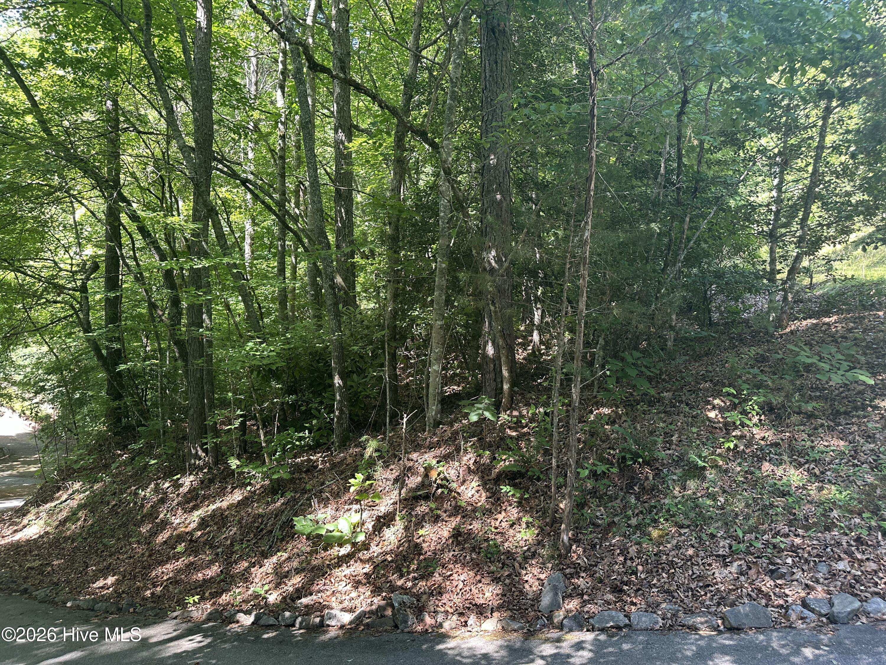 6 Bartram Trail Road Property Photo 6
