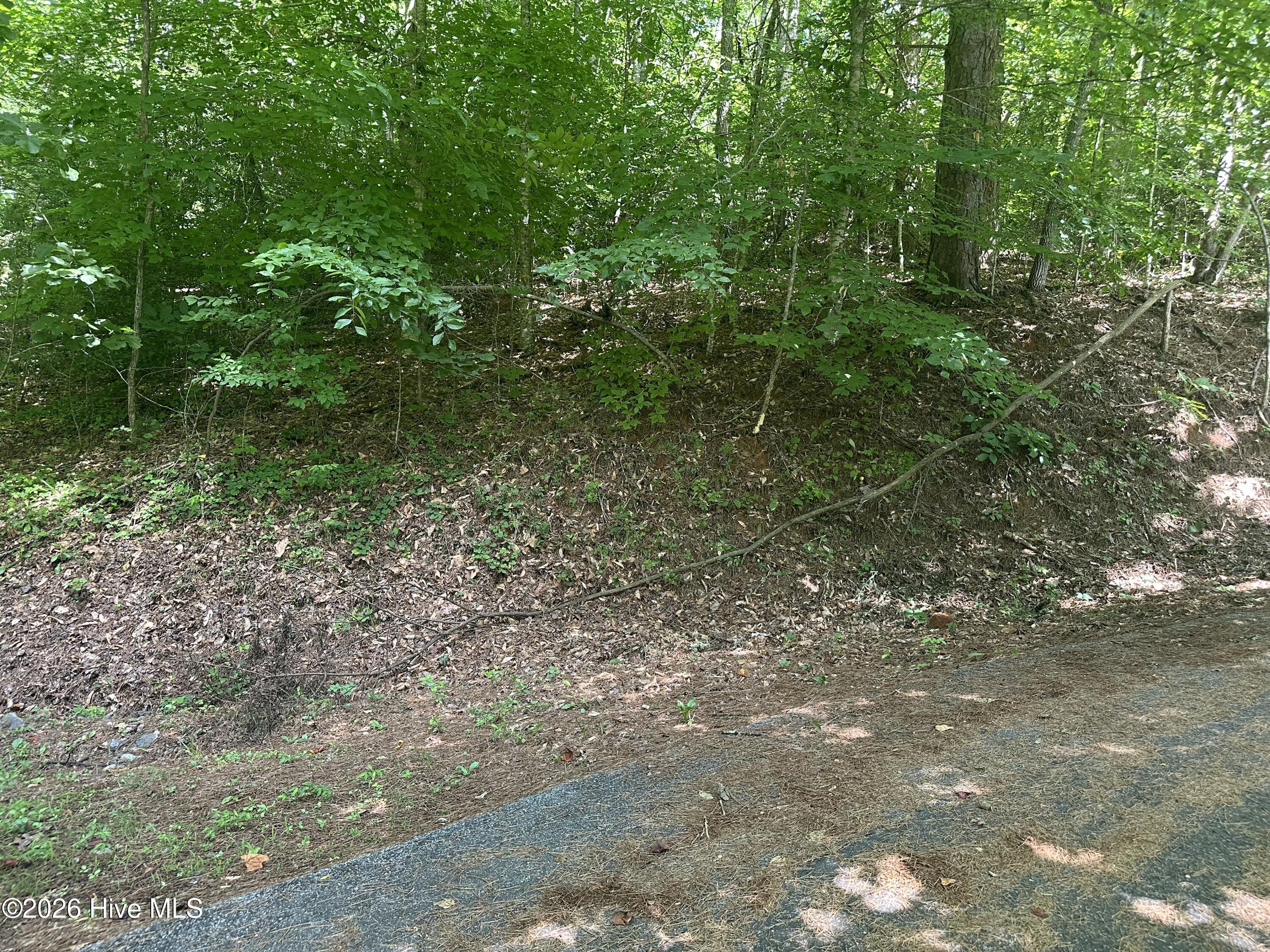 6 Bartram Trail Road Property Photo 8