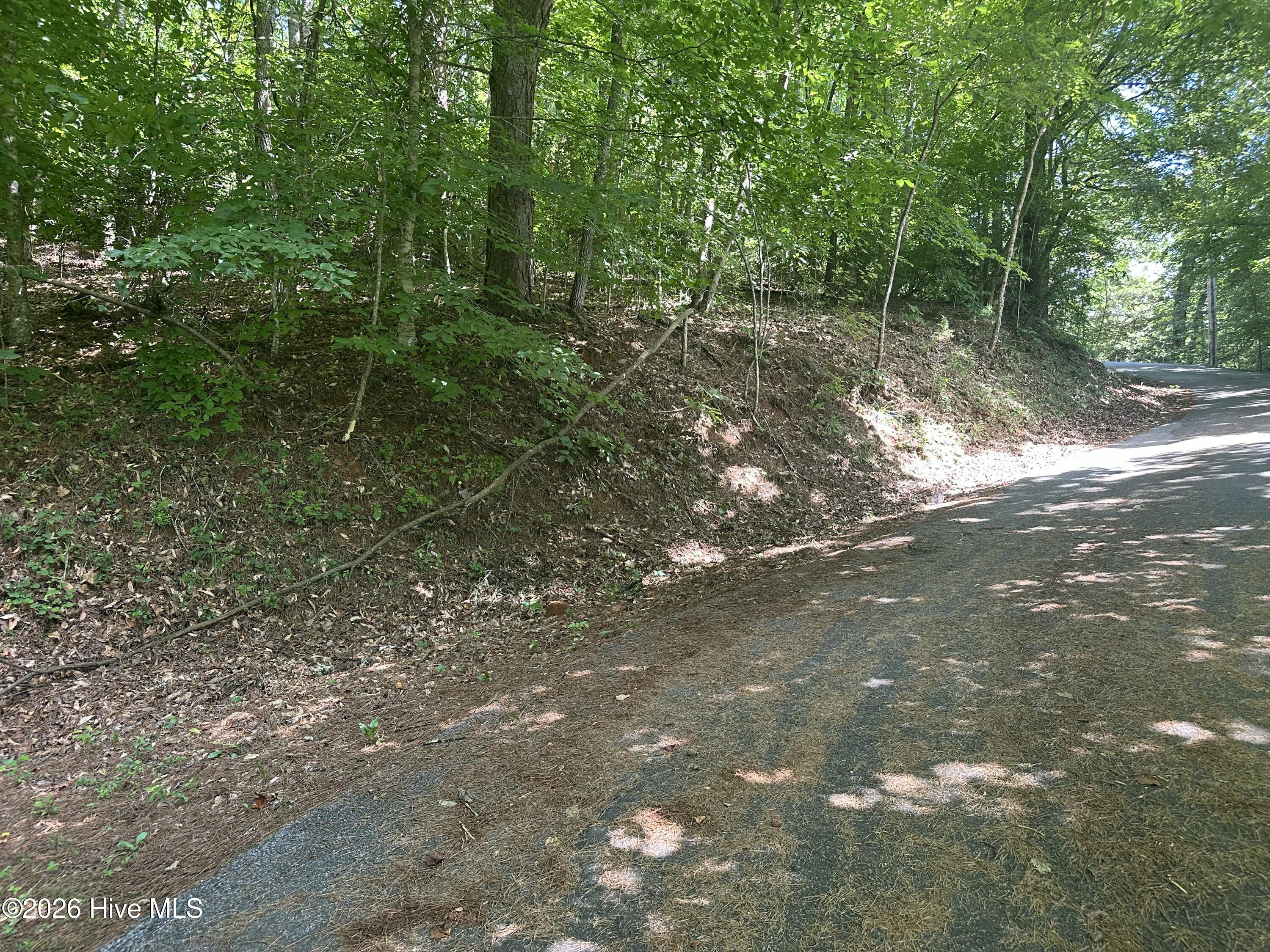 6 Bartram Trail Road Property Photo 9