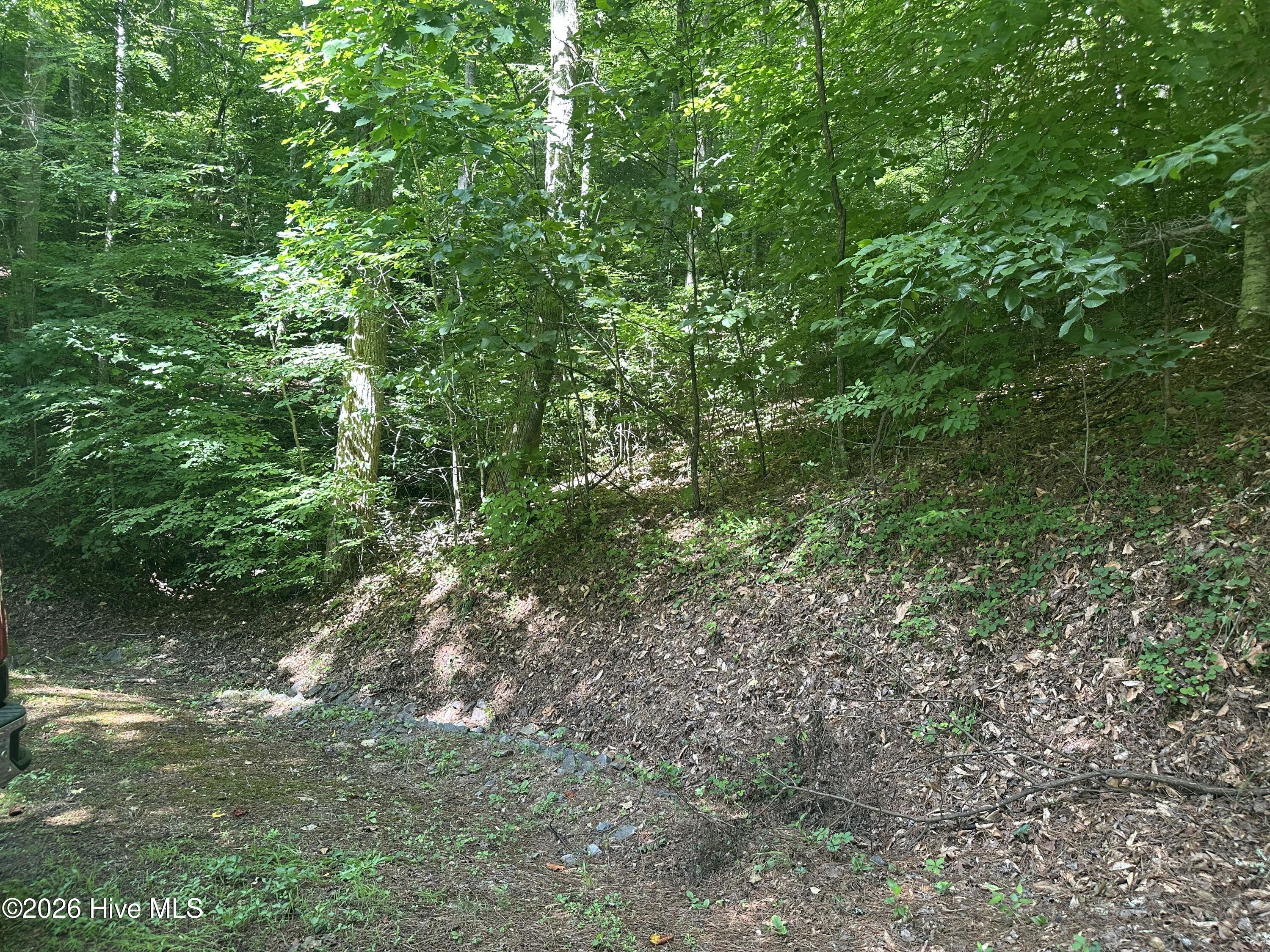 6 Bartram Trail Road Property Photo 10