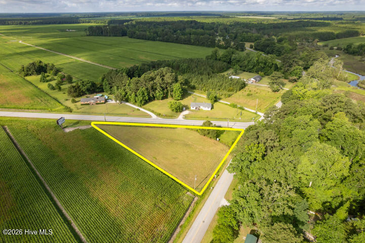 0 Alligator Loop Road Property Photo 8