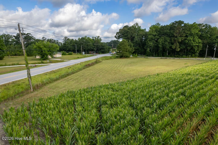 0 Alligator Loop Road Property Photo 10