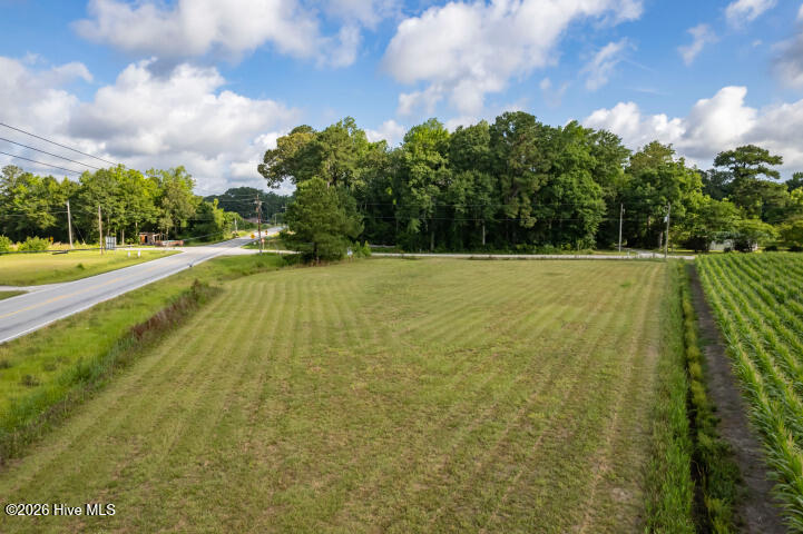 0 Alligator Loop Road Property Photo 11