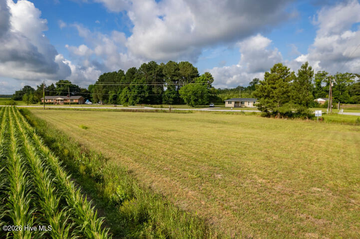 0 Alligator Loop Road Property Photo 12