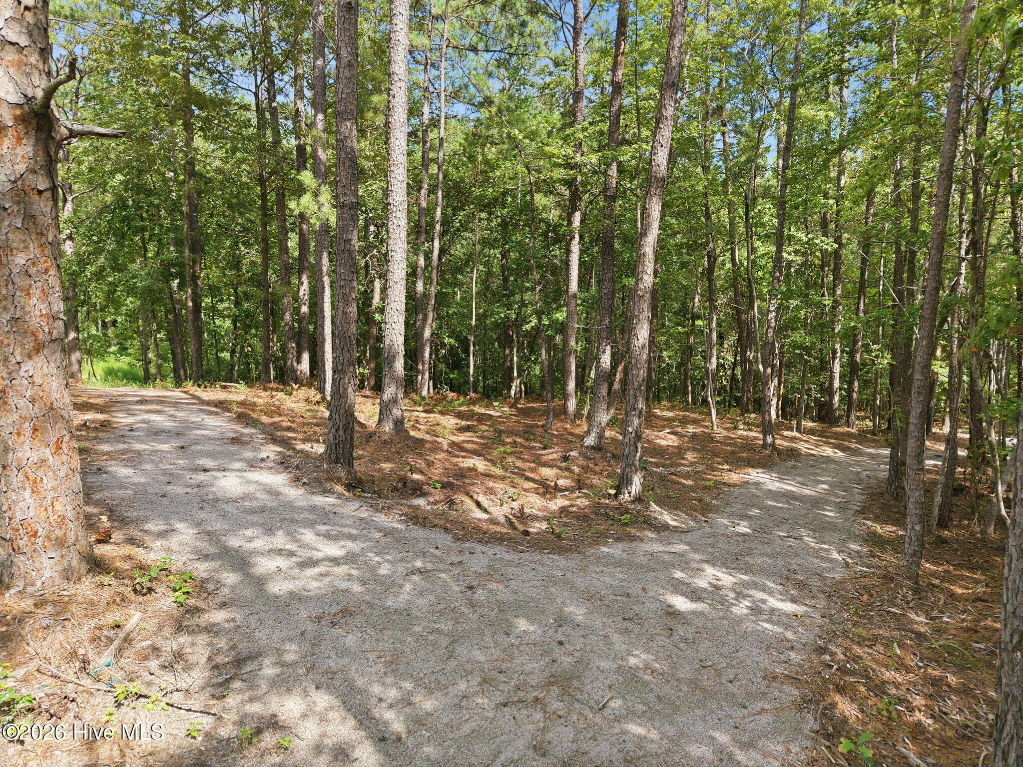 297 Elijah Way Property Photo 21