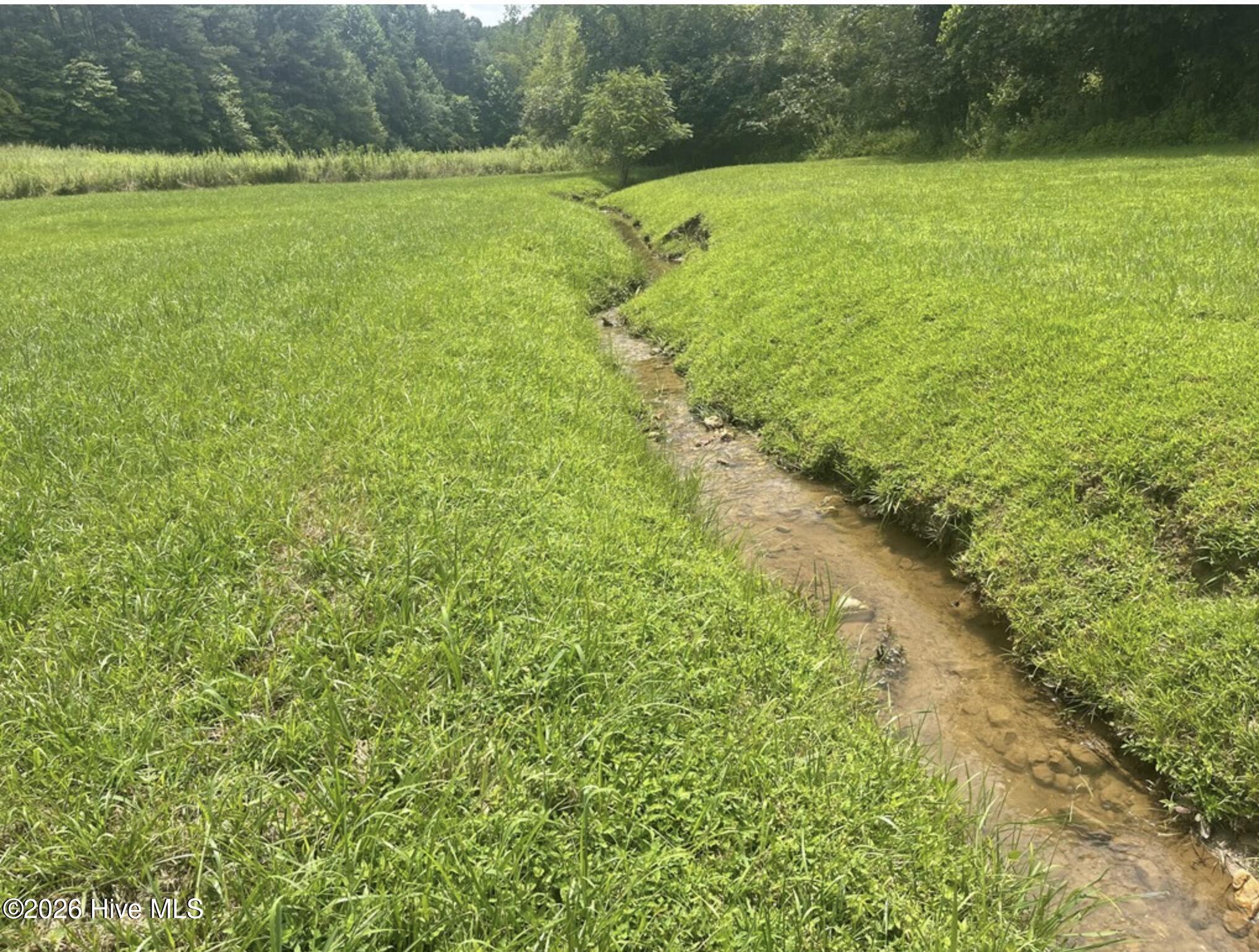 148 Deerfield Meadow Trail Property Photo 3
