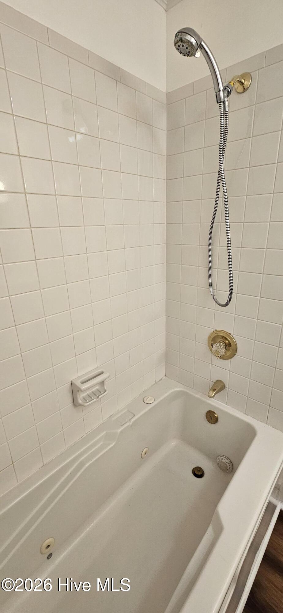 407 W College Street A Property Photo 26